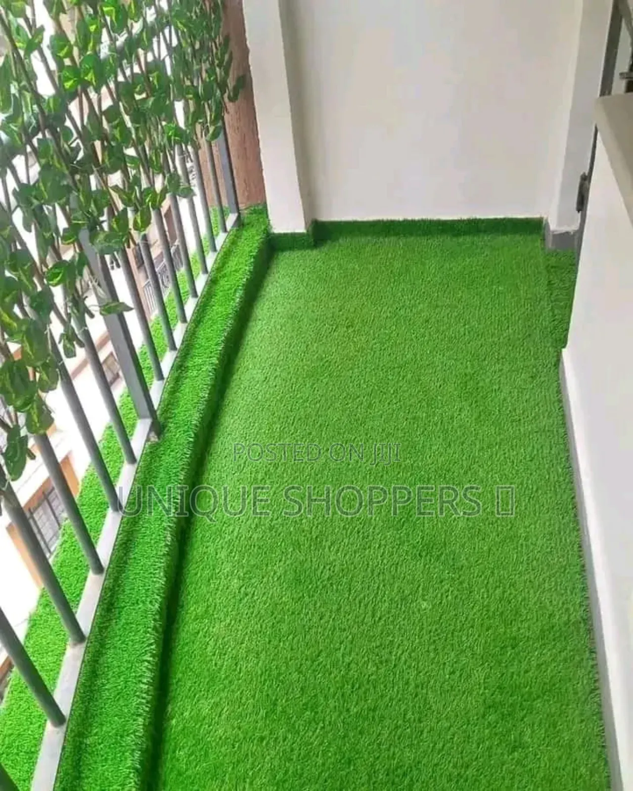 Quality Carpet Grass