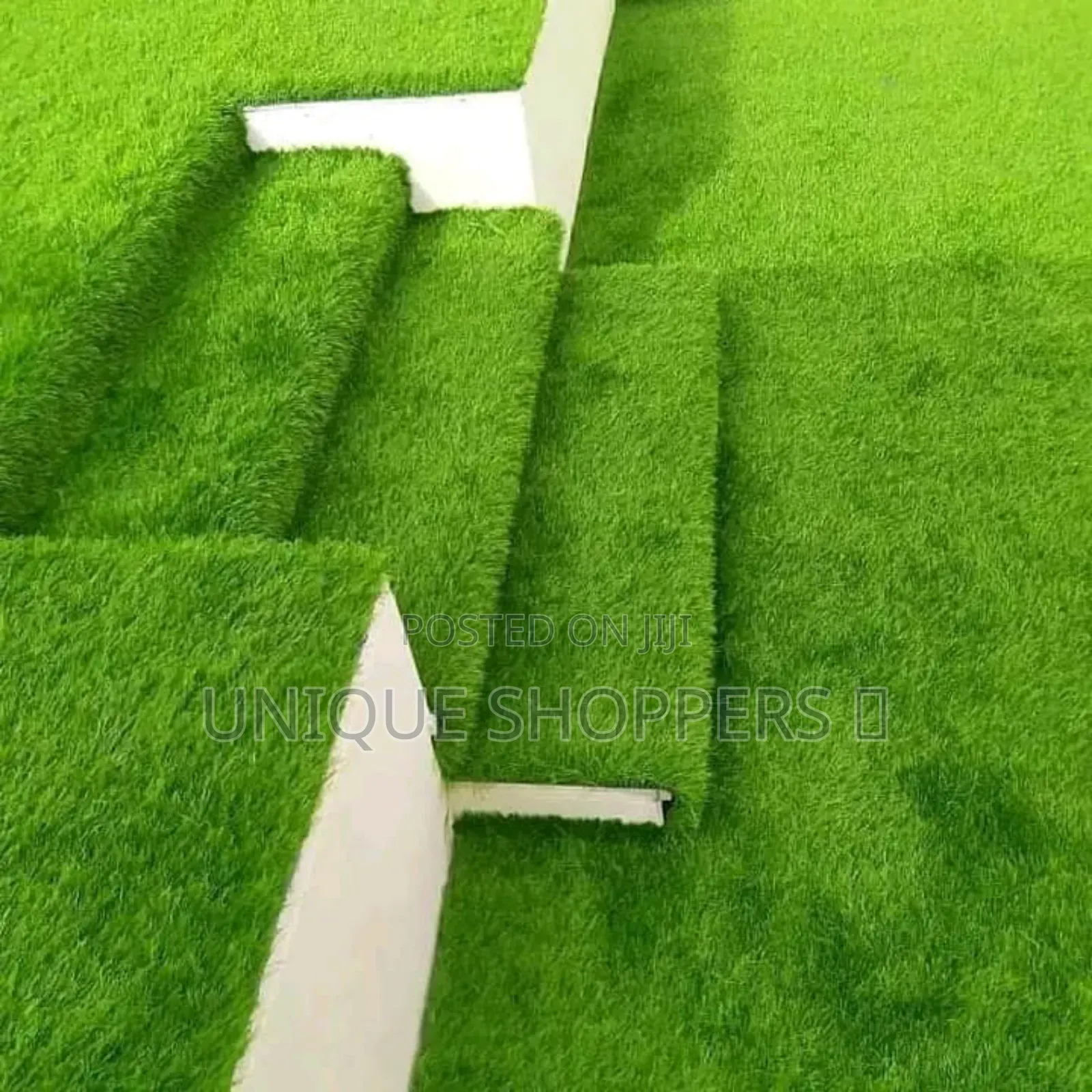 Quality Carpet Grass