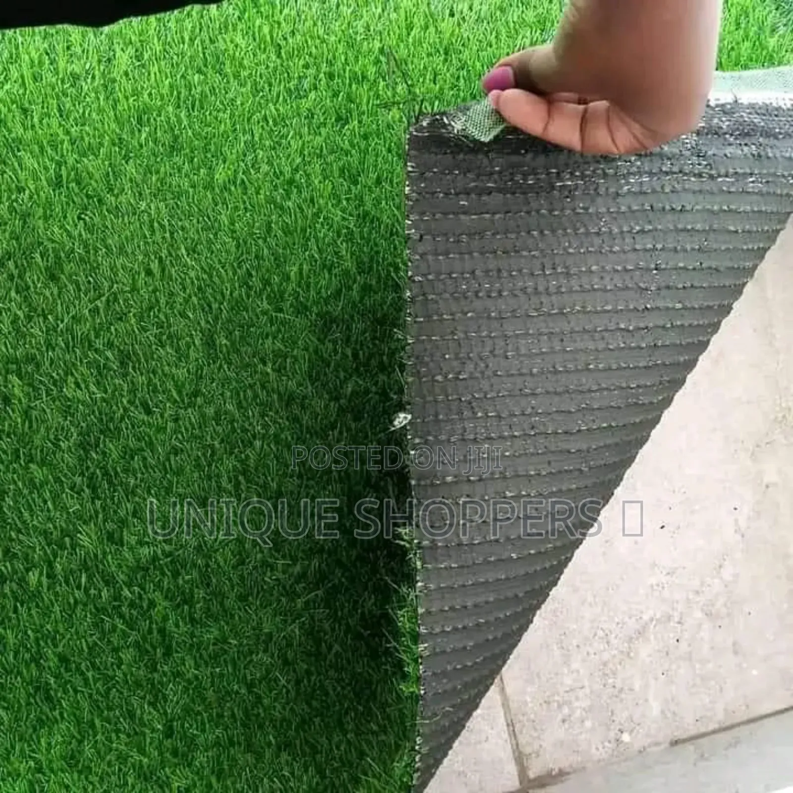 Quality Carpet Grass