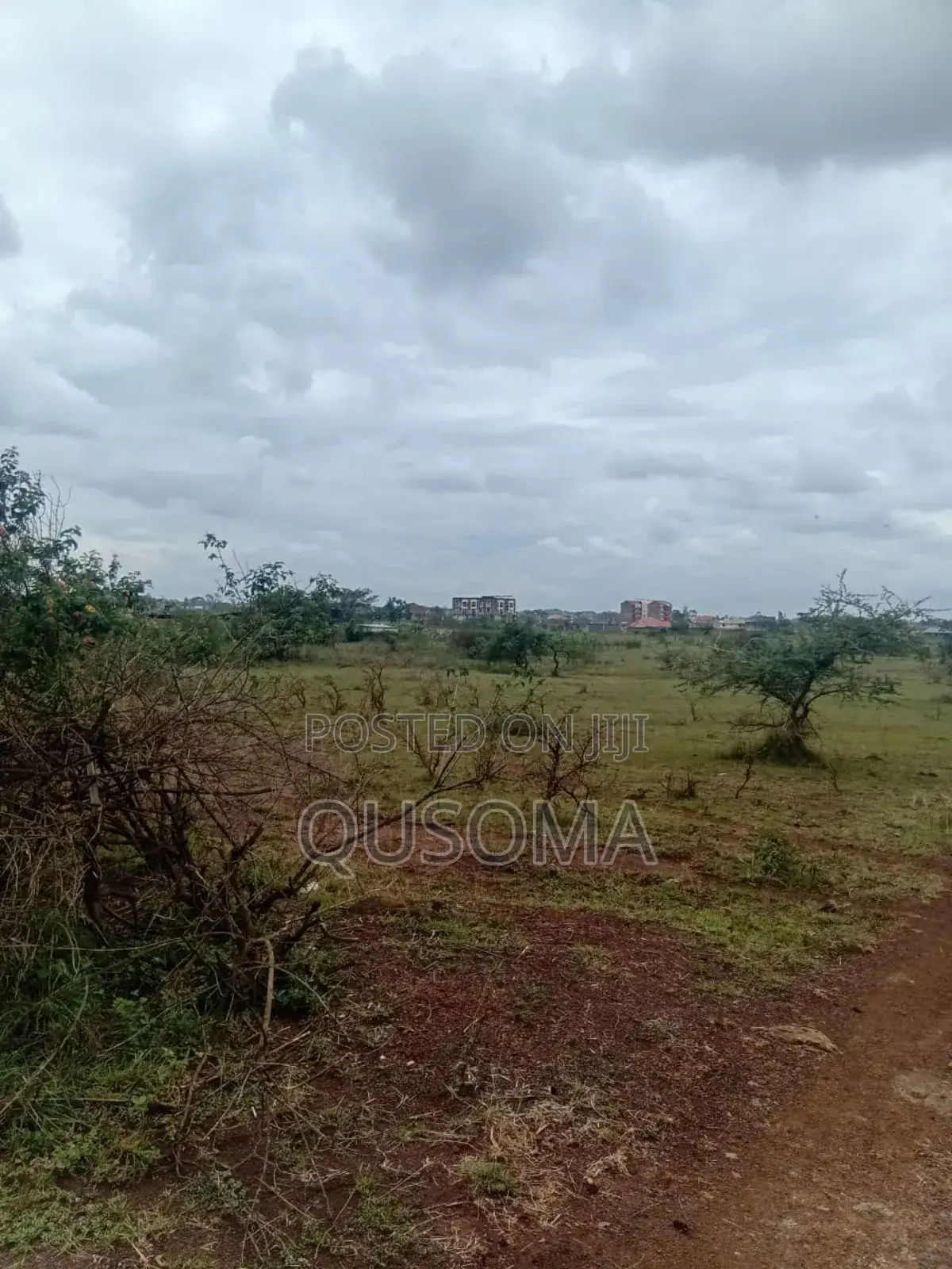 Thika Road Goldmine: 1/4 Acre Ready for Harvest! 3.7km Mang'u High