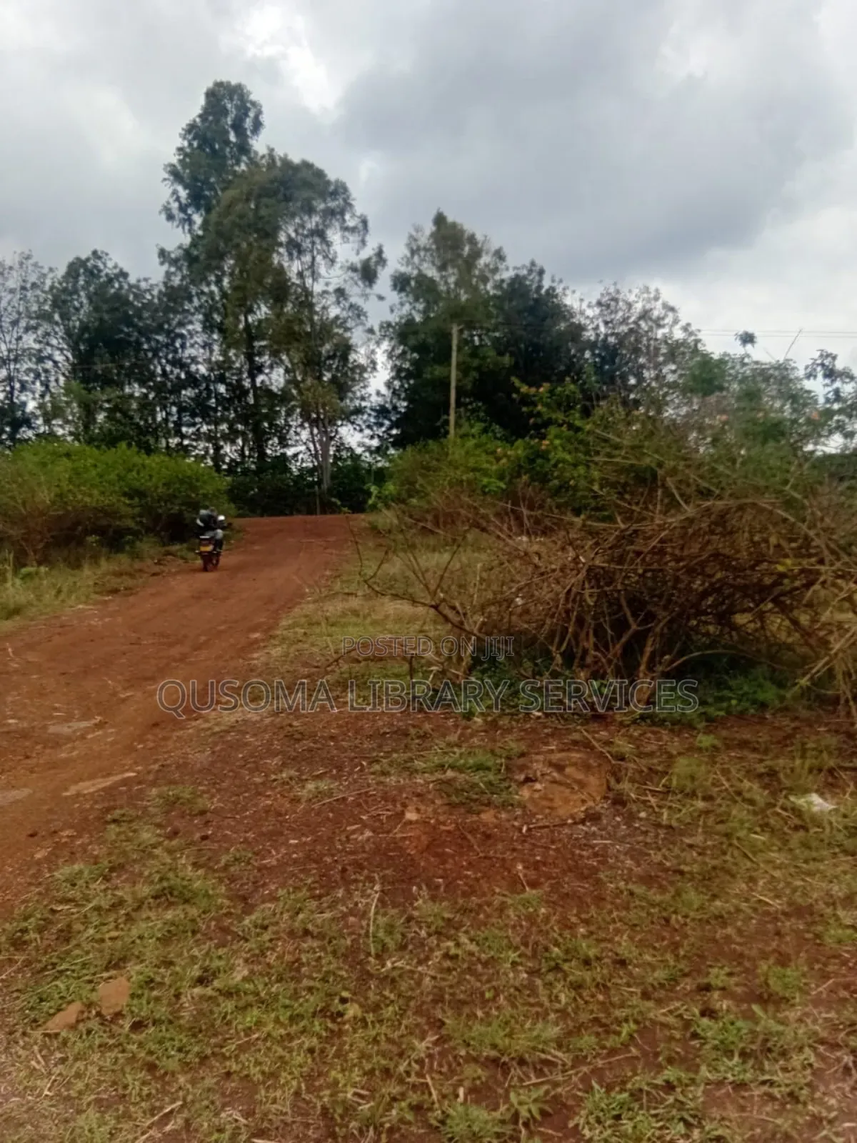 Thika Road Goldmine: 1/4 Acre Ready for Harvest! 3.7km Mang'u High