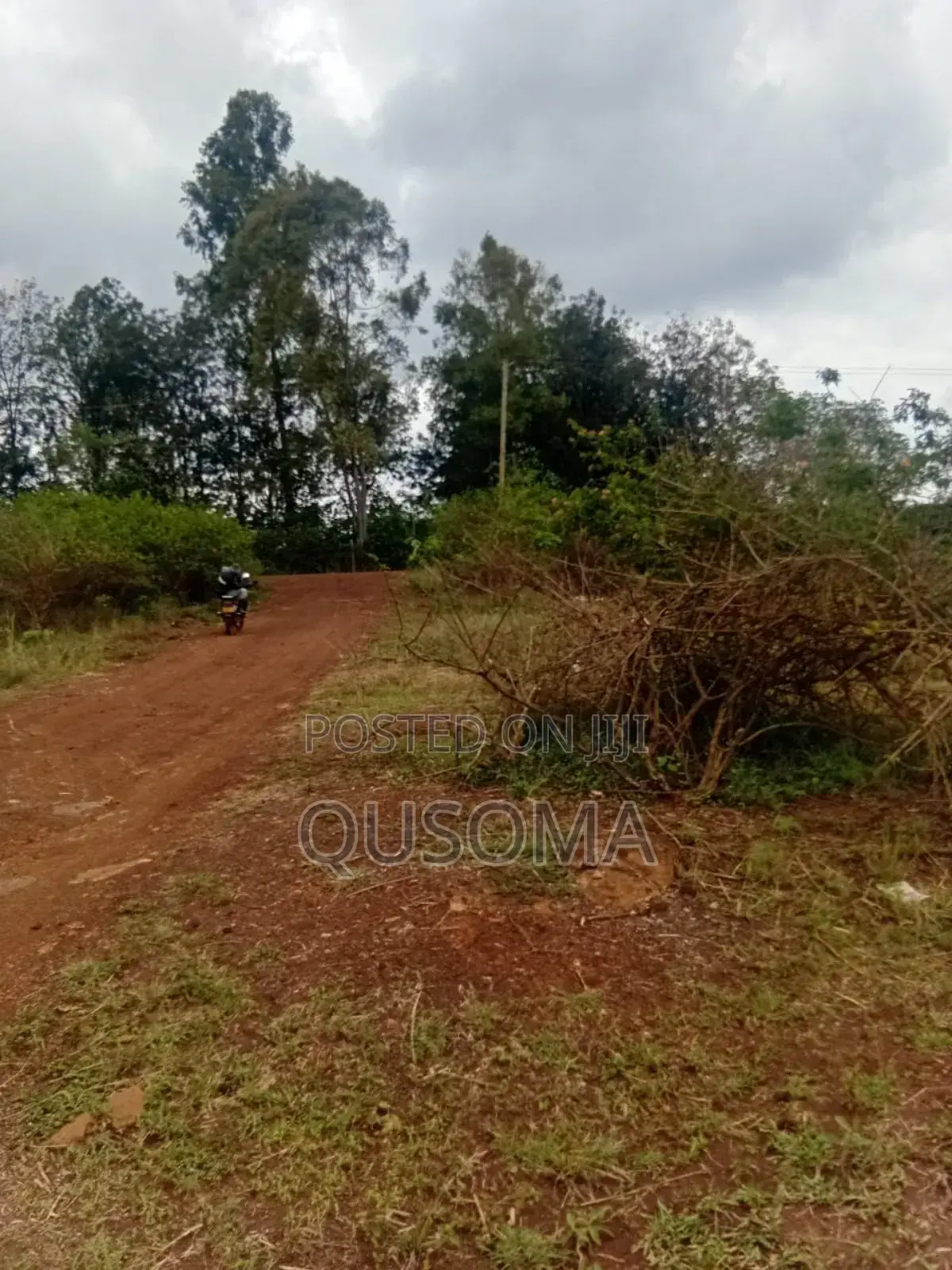 Thika Road Goldmine: 1/4 Acre Ready for Harvest! 3.7km Mang'u High