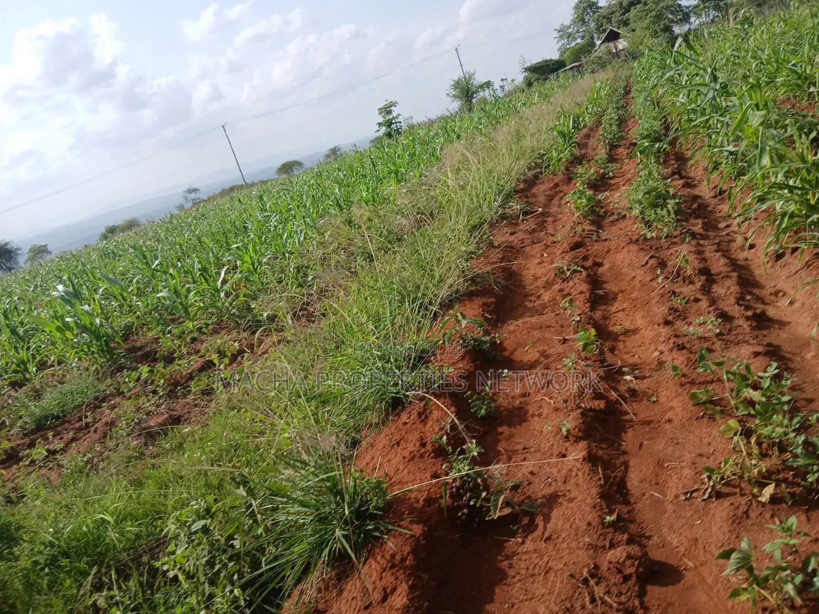 Katangi -Machakos 3 Acres for Sale.