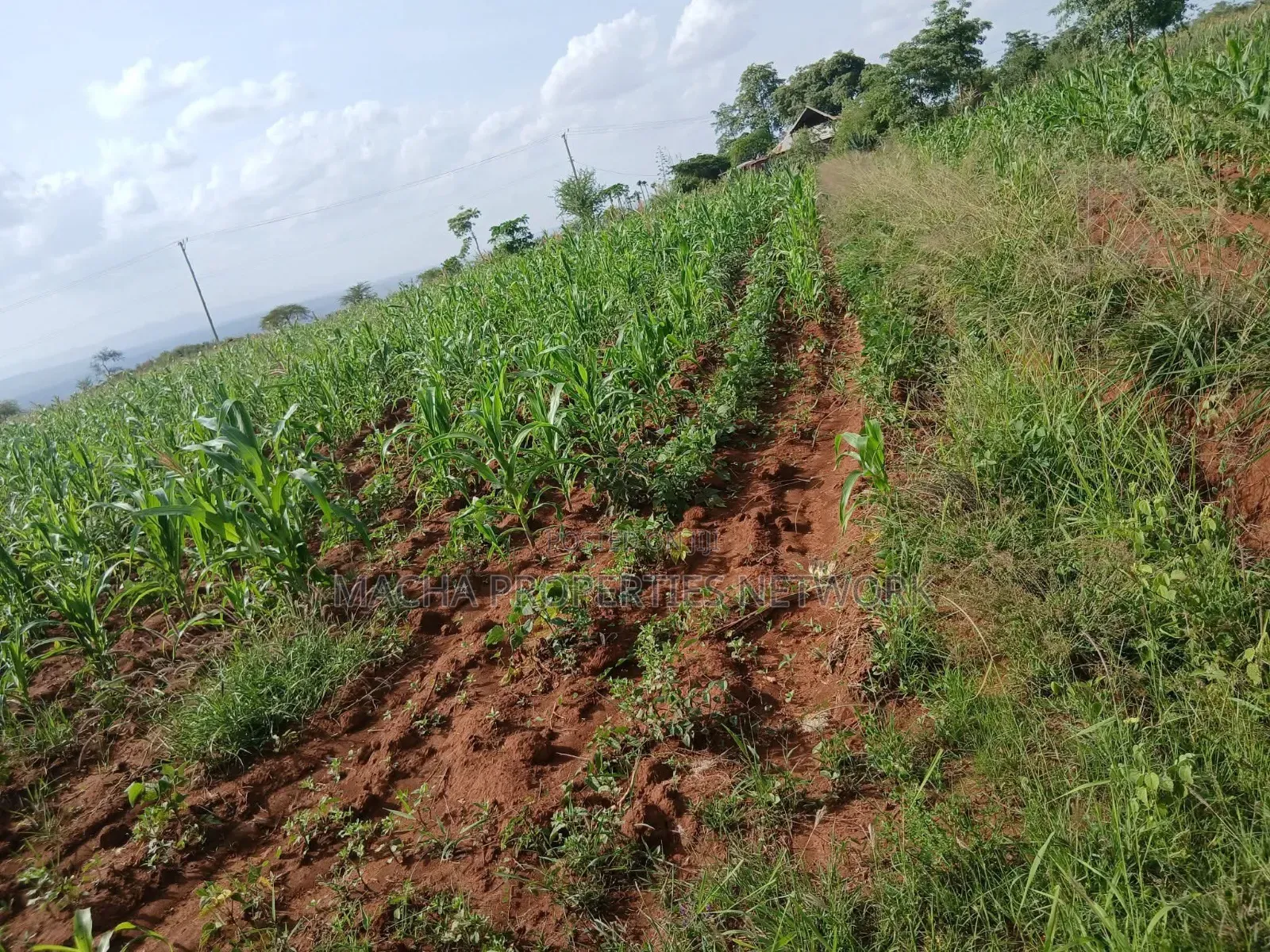 Katangi -Machakos 3 Acres for Sale.