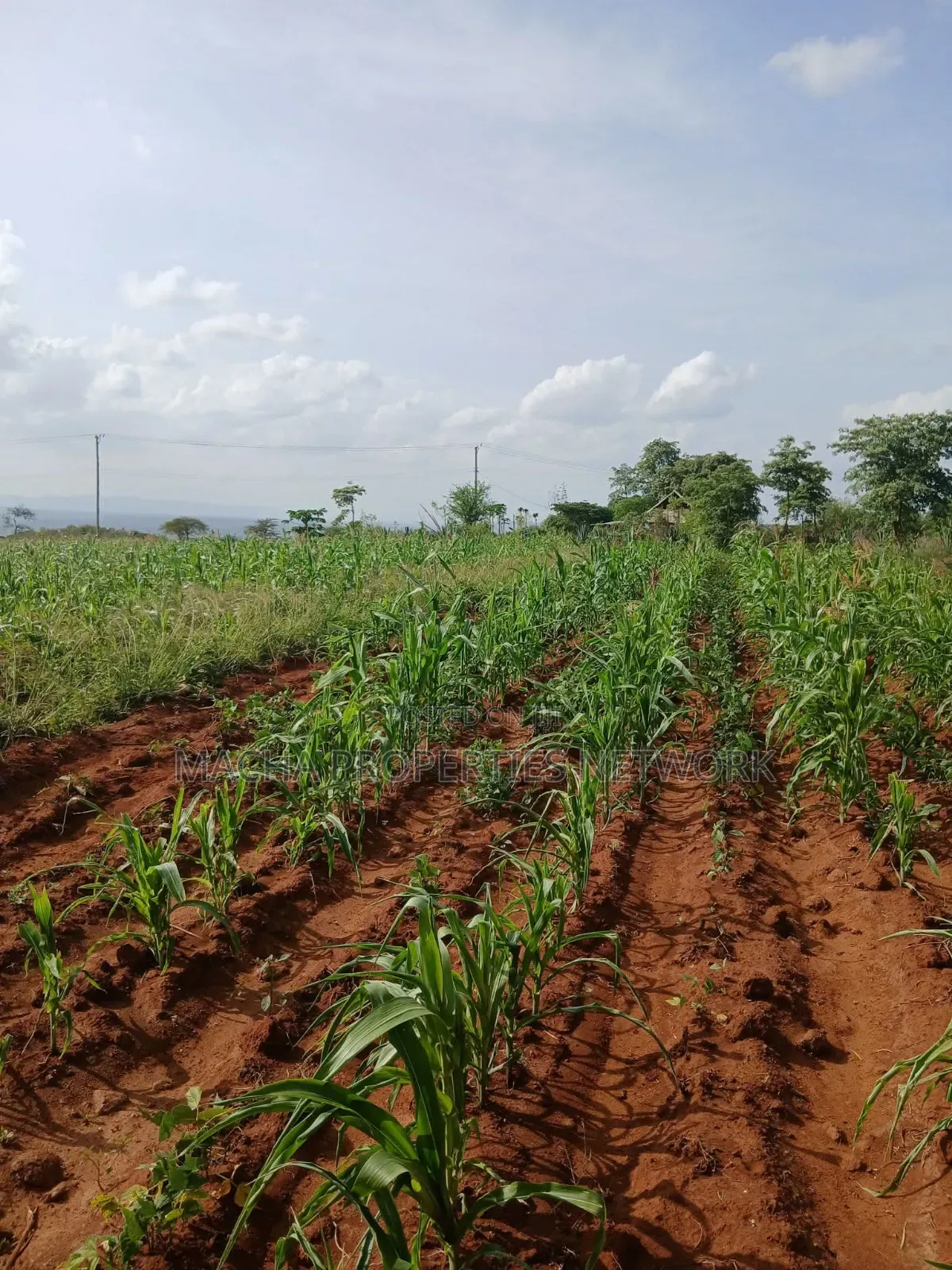 Katangi -Machakos 3 Acres for Sale.