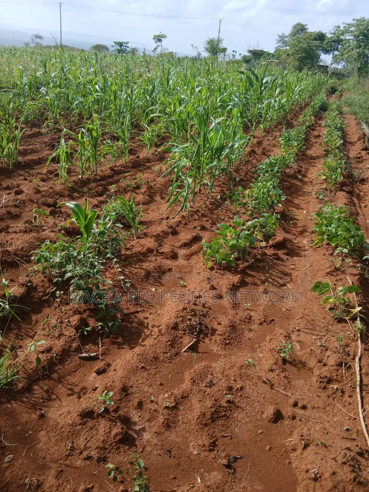 Katangi -Machakos 3 Acres for Sale.