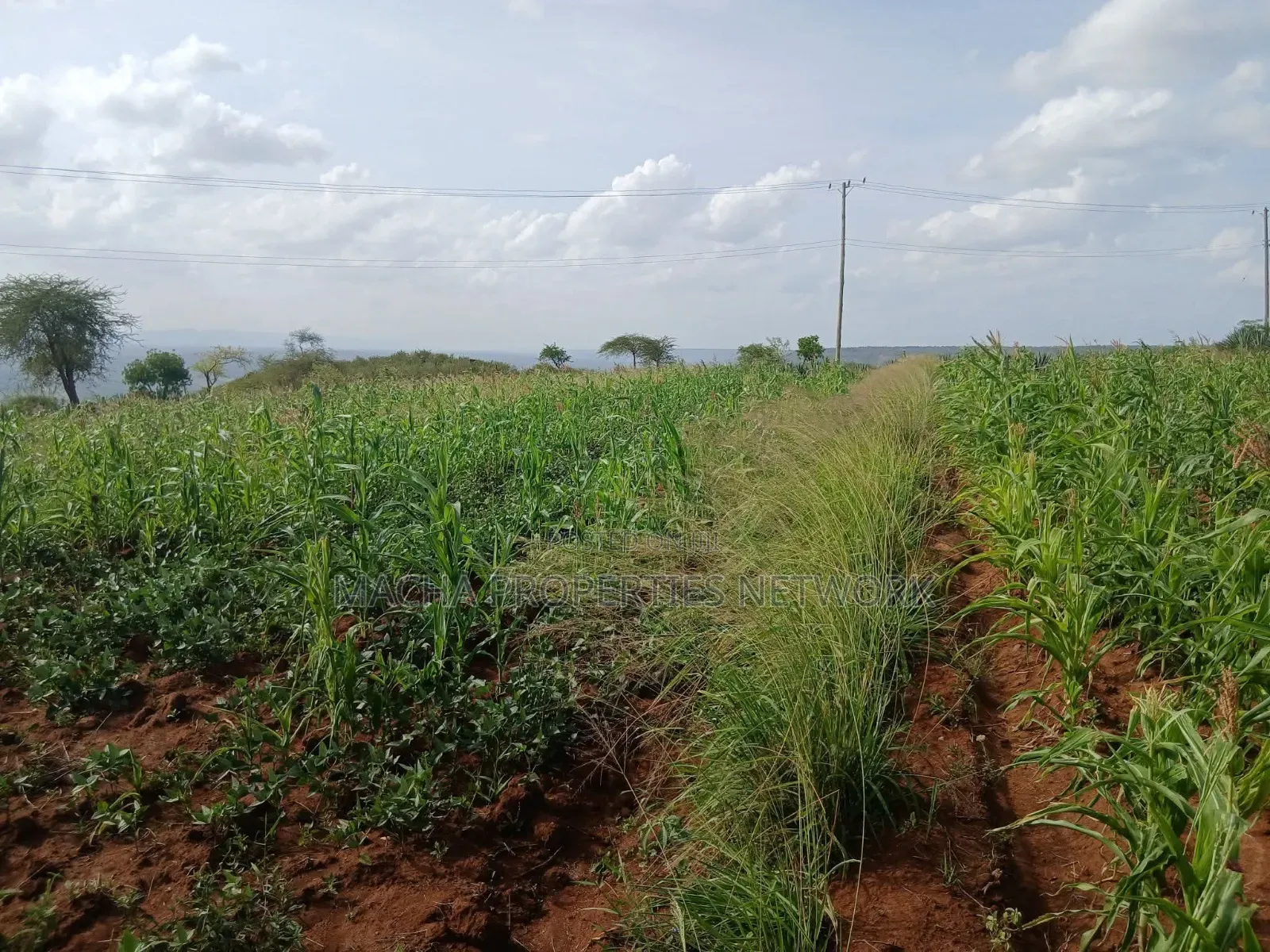 Katangi -Machakos 3 Acres for Sale.