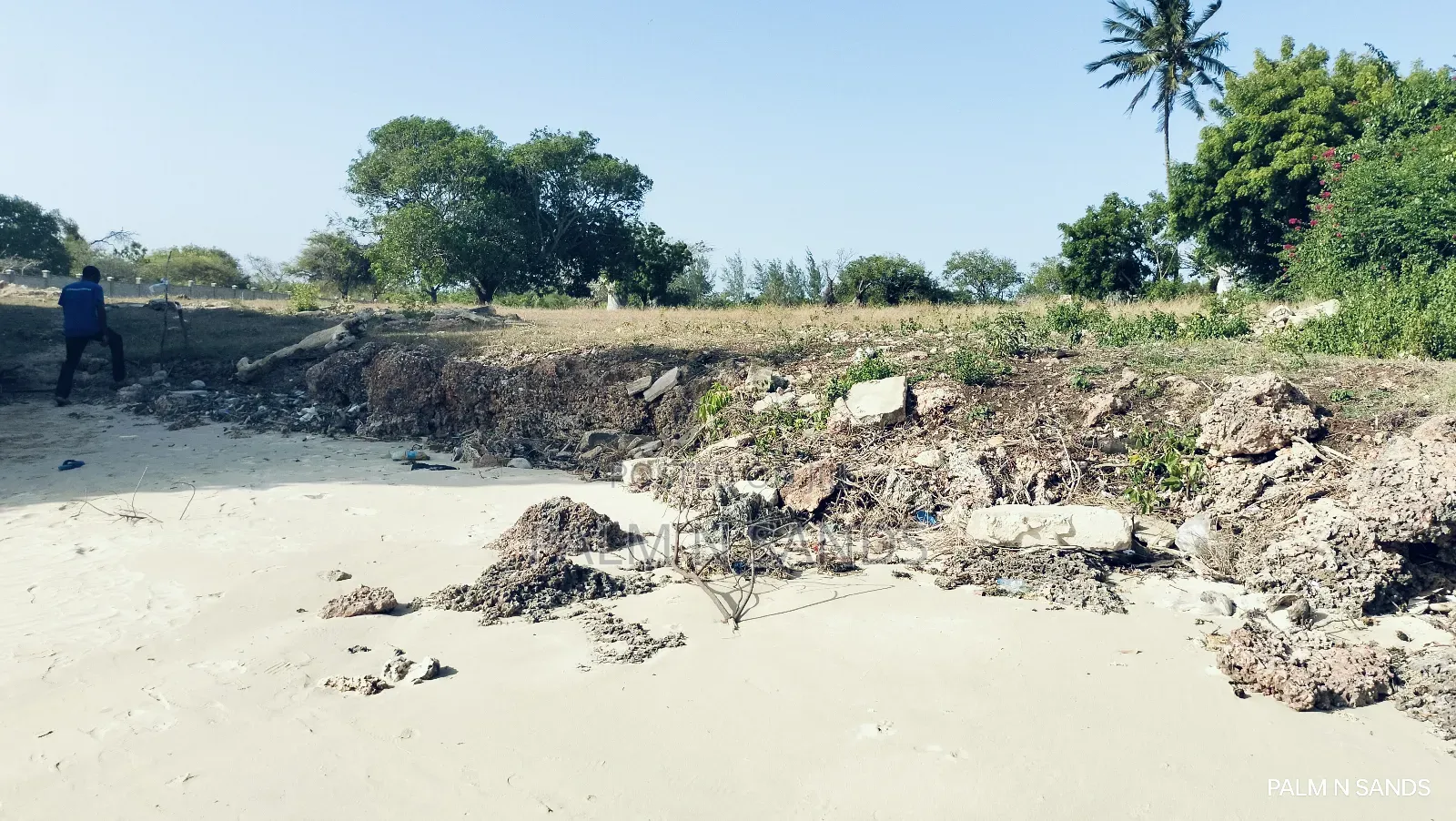 Shimoni Half Acre Beach Plot for Sale!!