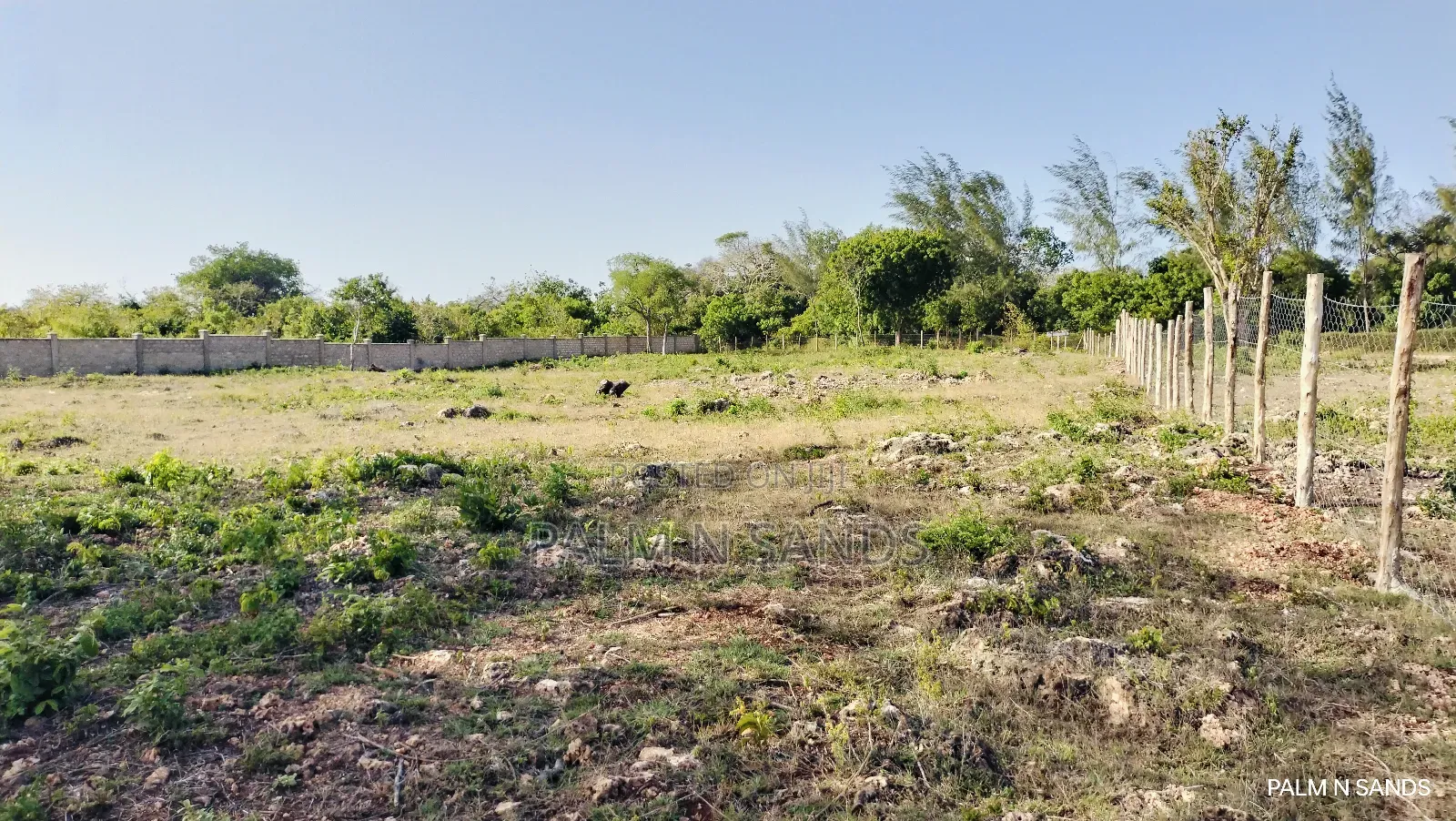 Shimoni Half Acre Beach Plot for Sale!!