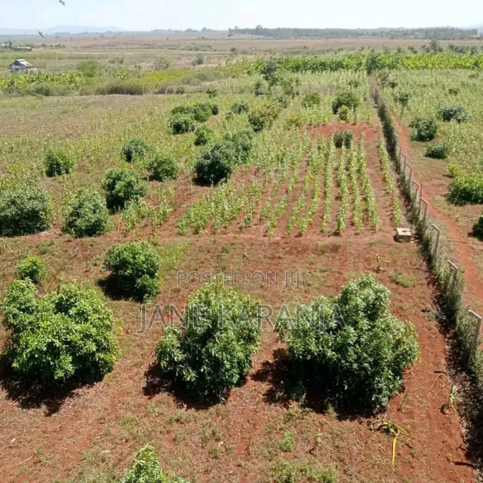 Thika Mitubiri 3blocks of 17acres,7.5acres and 7.5acres