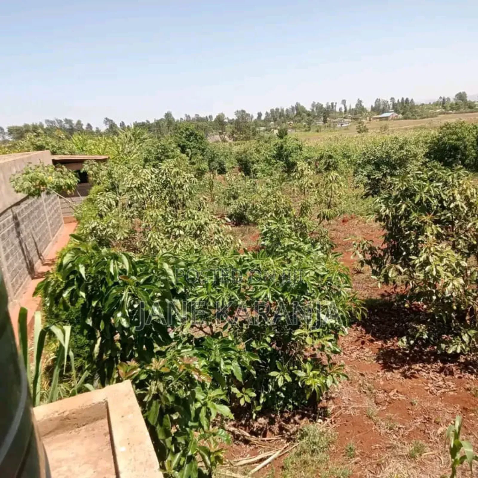 Thika Mitubiri 3blocks of 17acres,7.5acres and 7.5acres