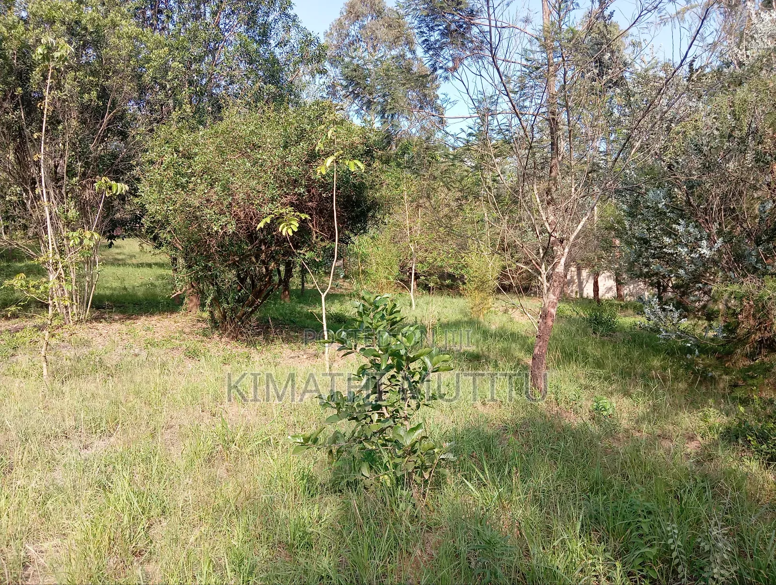 A Very Prime Residential 2 Acre With Plenty of Trees in Karen.