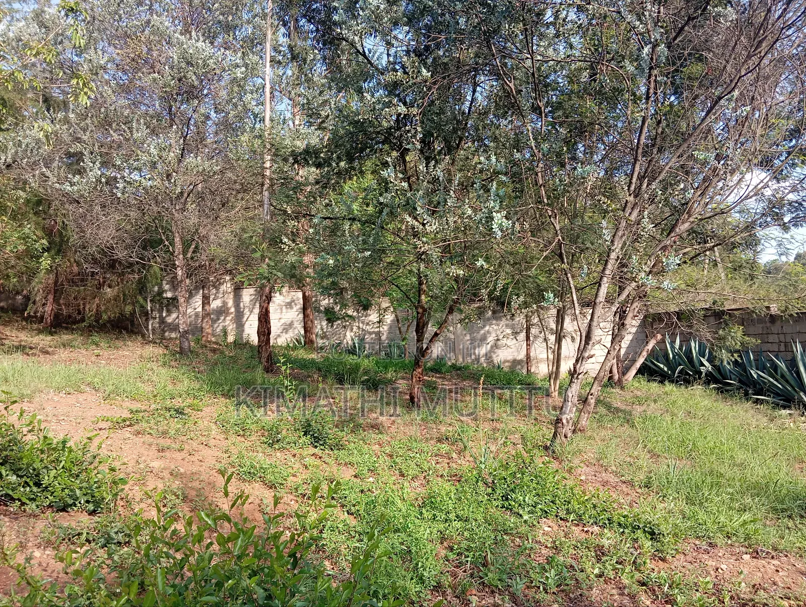 A Very Prime Residential 2 Acre With Plenty of Trees in Karen.