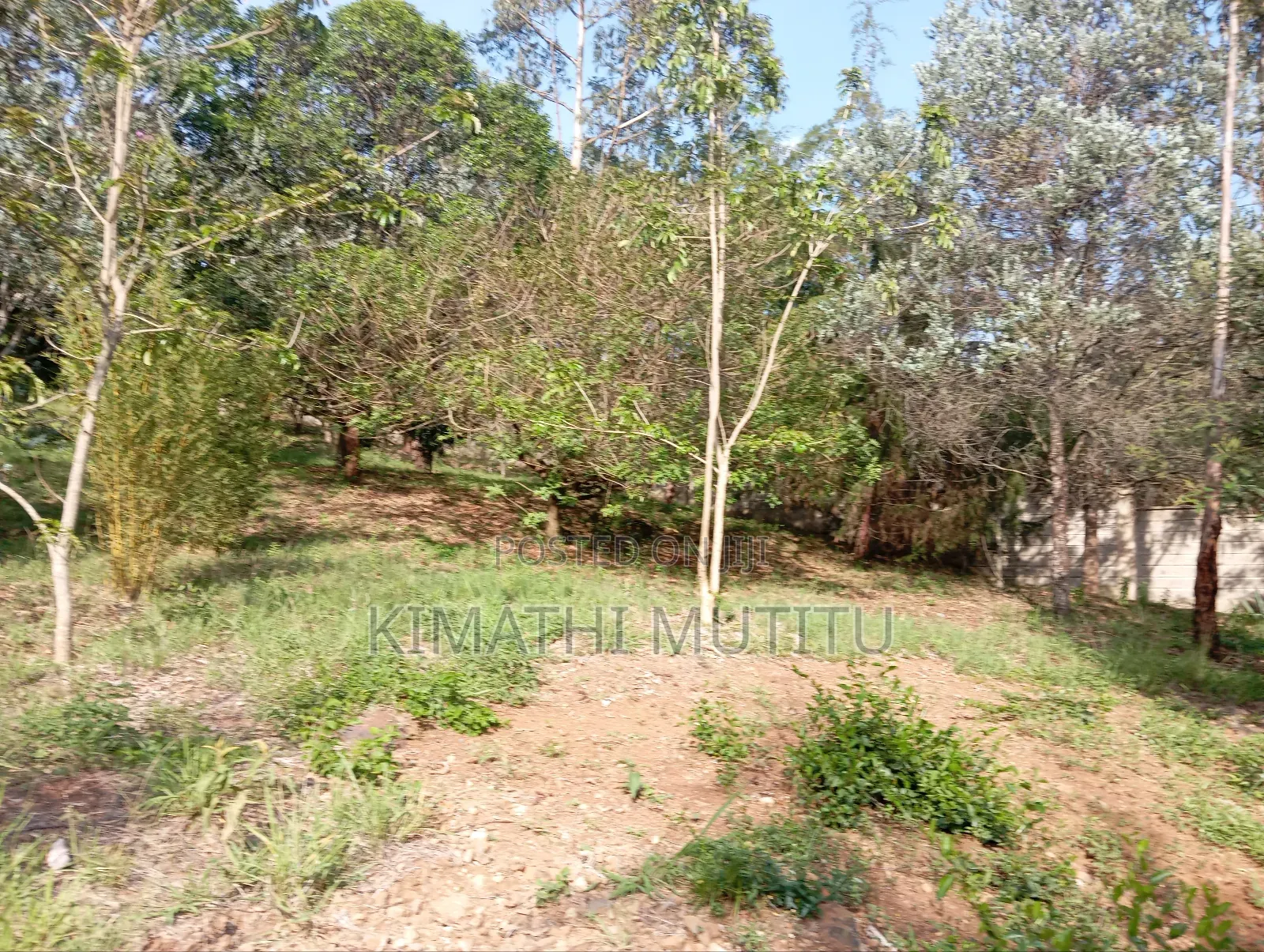 A Very Prime Residential 2 Acre With Plenty of Trees in Karen.