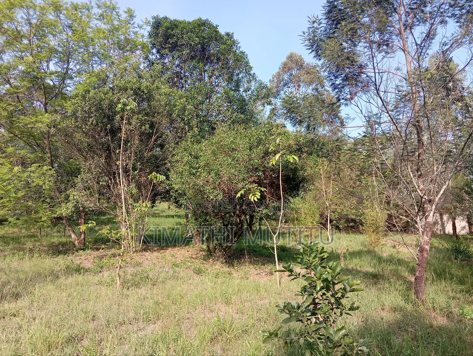 A Very Prime Residential 2 Acre With Plenty of Trees in Karen.
