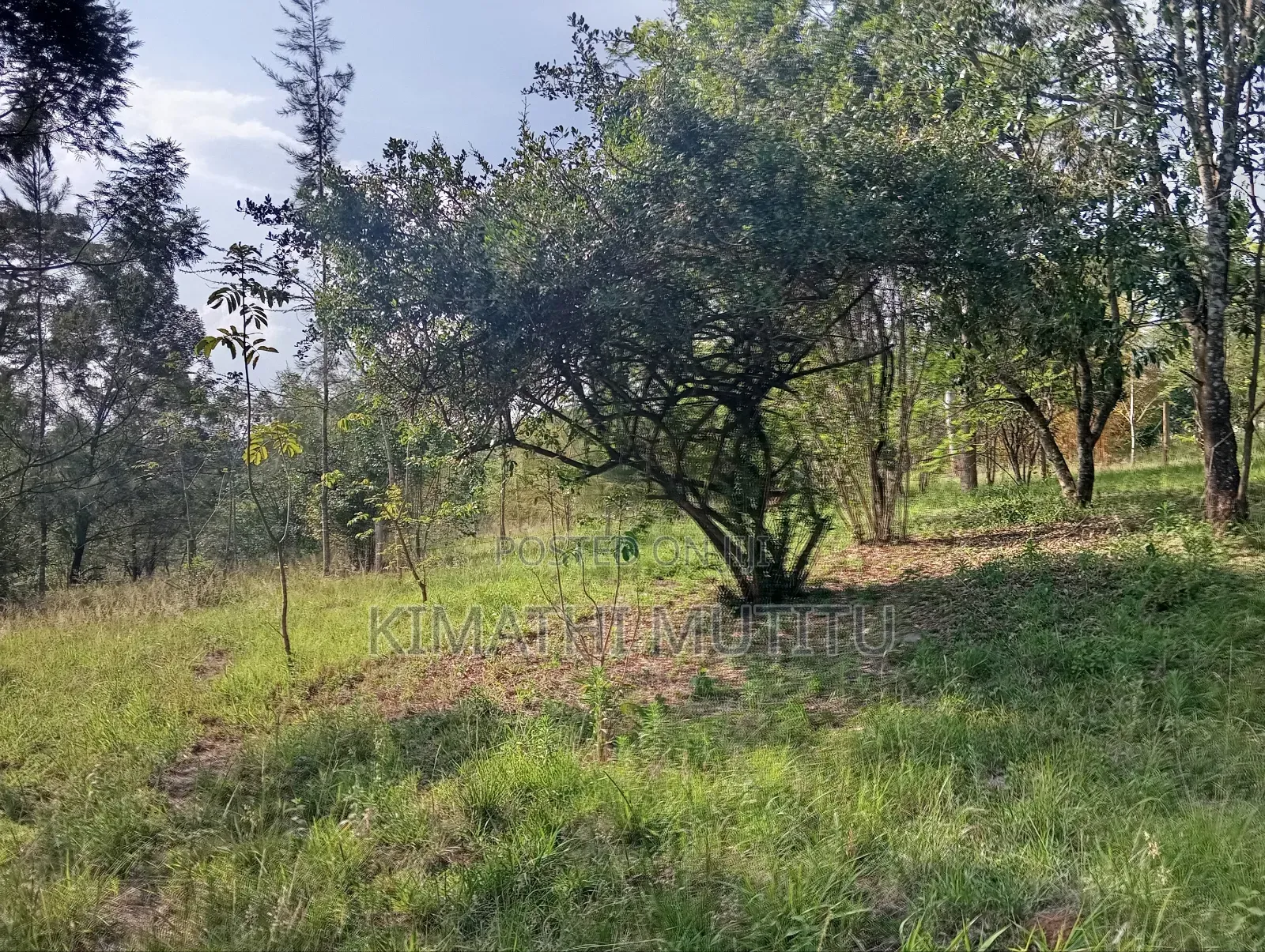 A Very Prime Residential 2 Acre With Plenty of Trees in Karen.