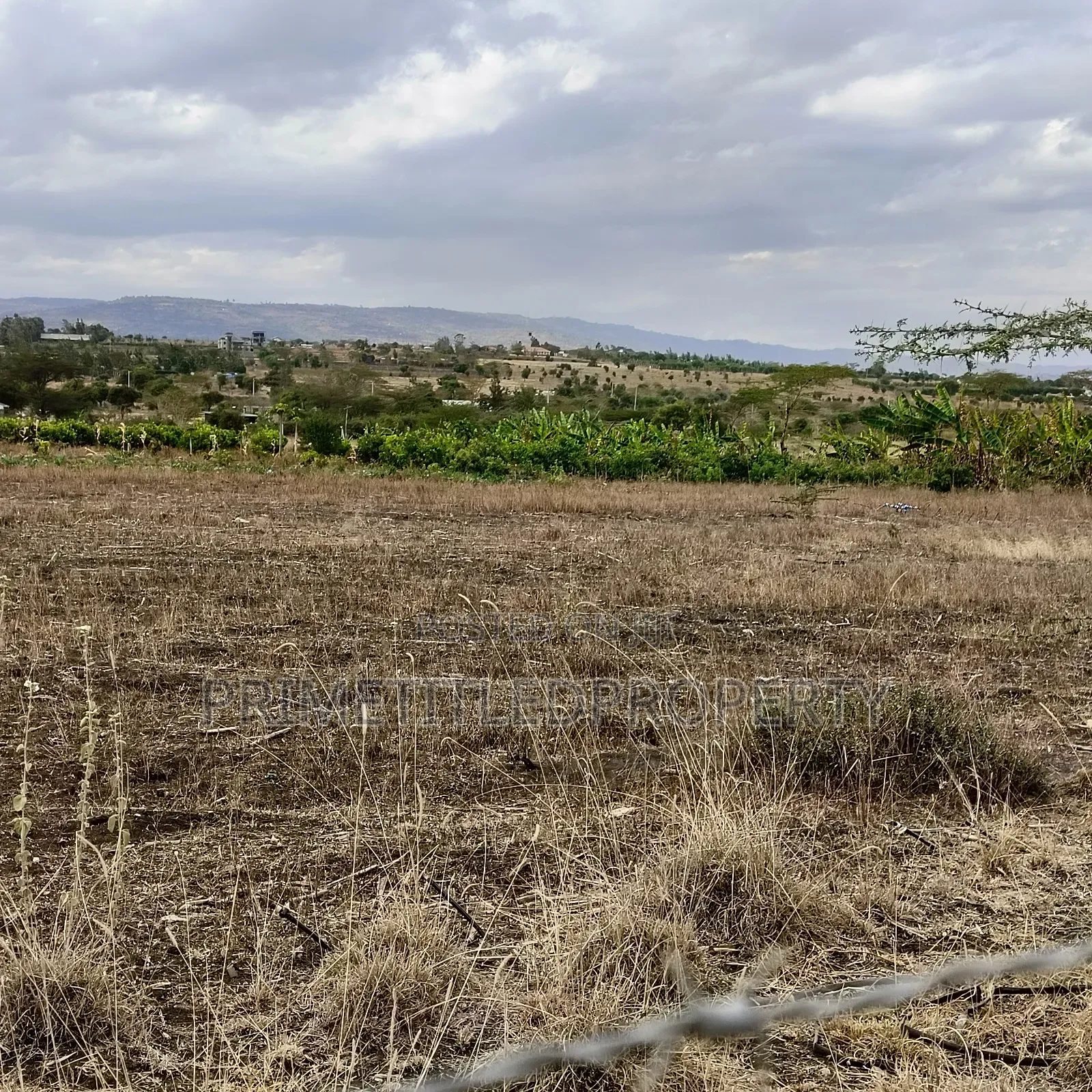 15 Acres Along Mua Road