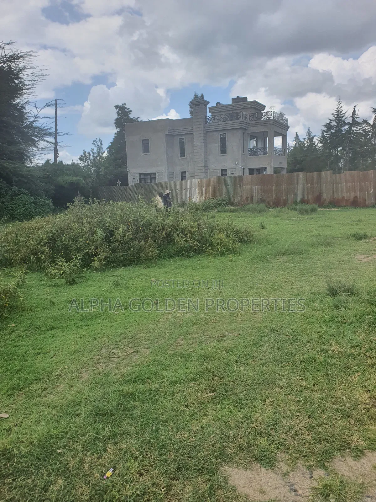 Nanyuki Airstrip Plots