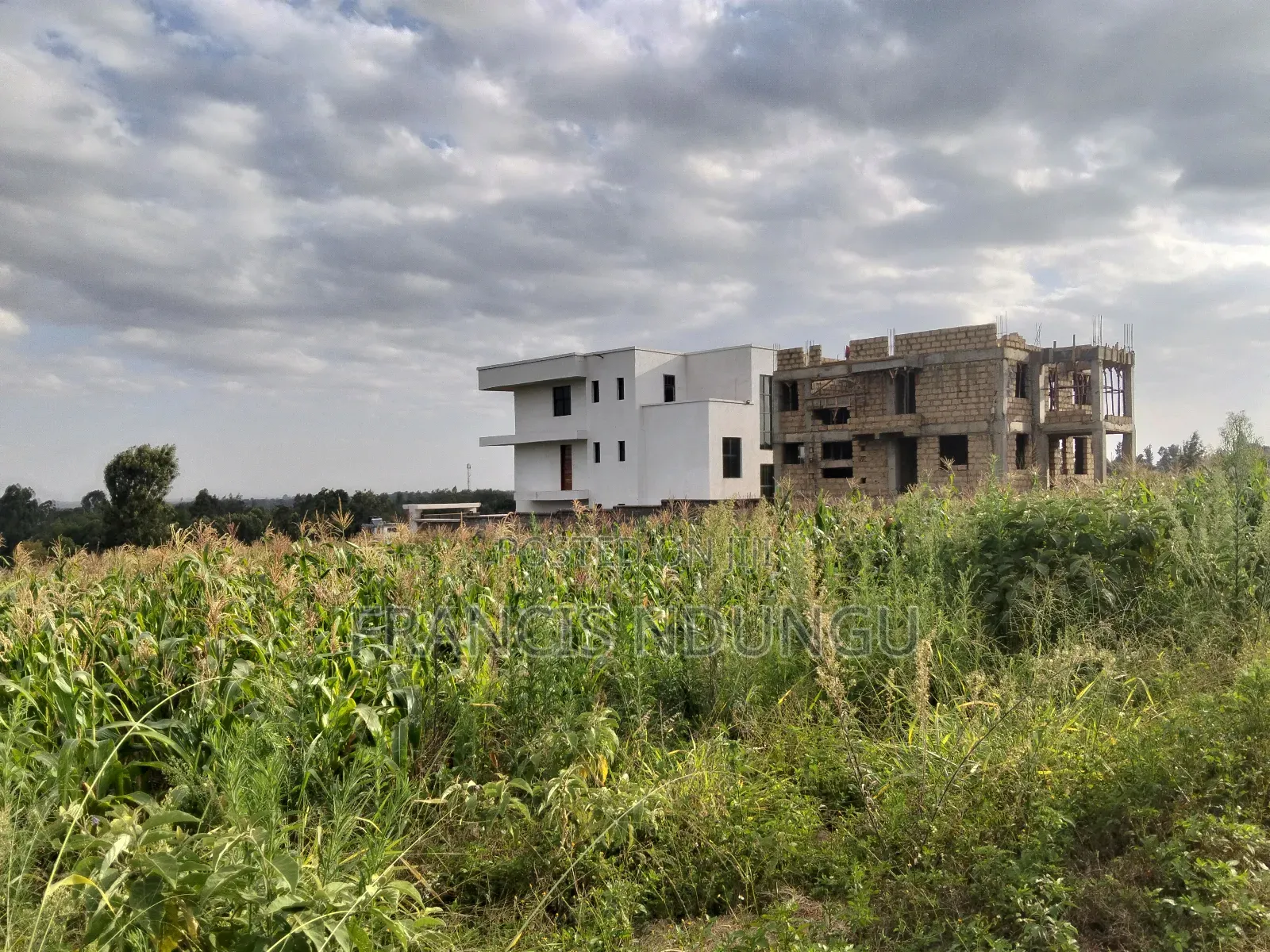 Residential Plots for Sale in Kiambu Township.