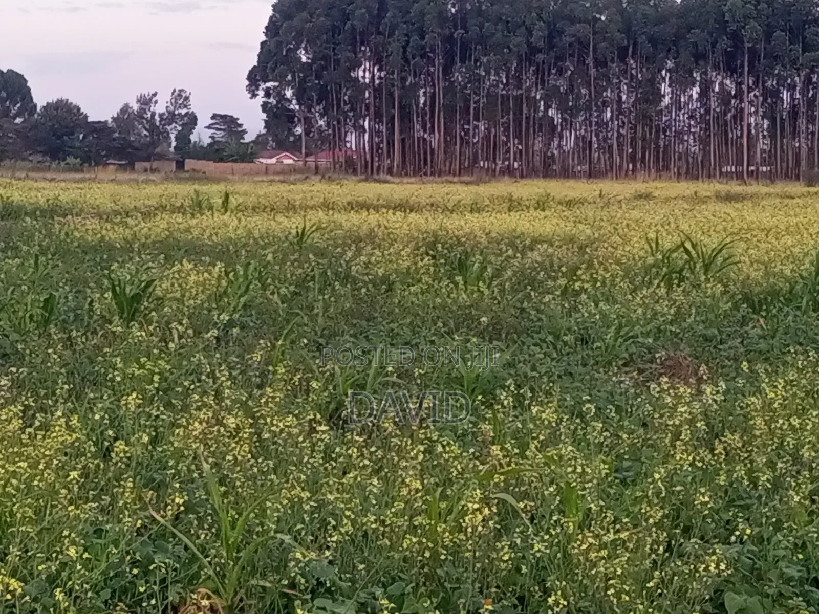 One Acre Land for Sale in Njoro
