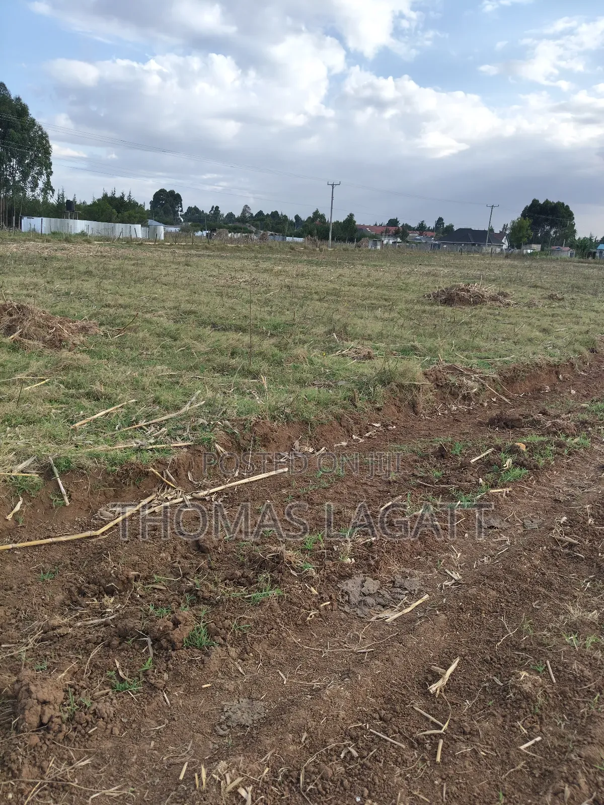 Eldoret Outspan Ancilla Estate