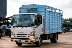 Isuzu Ecoline 2018 White