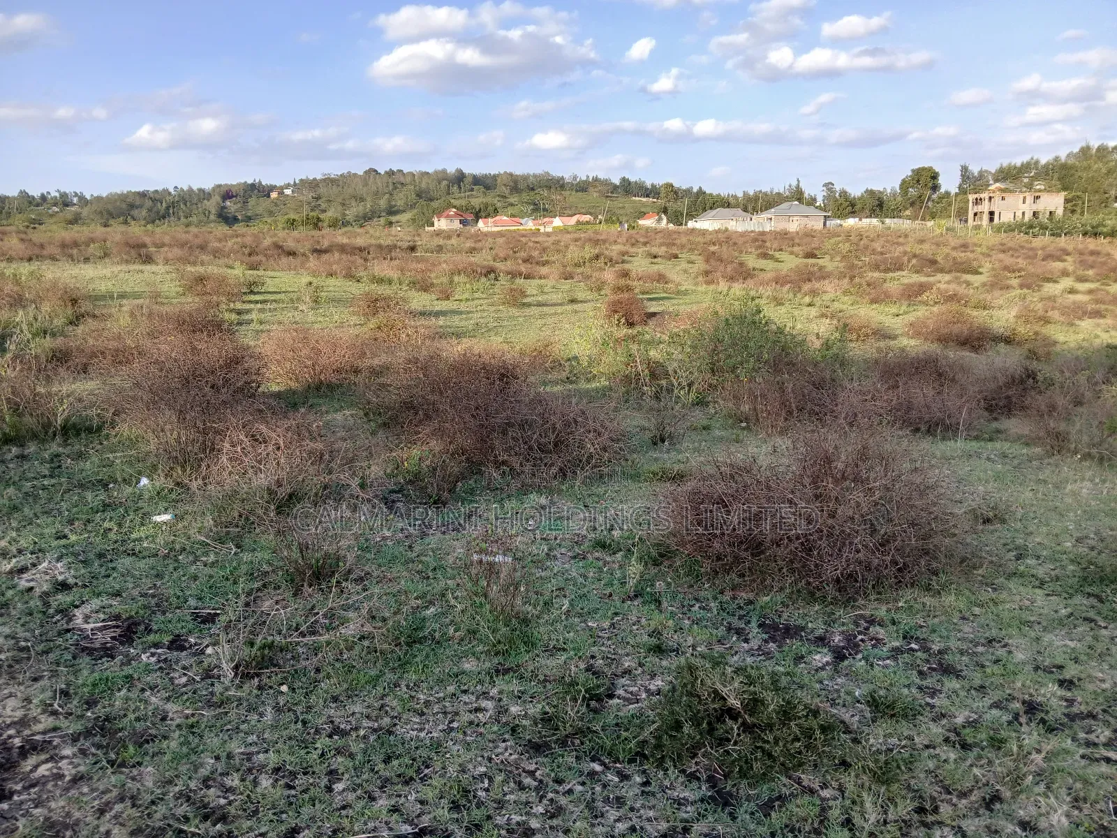 Prime Acre on Quick Distress Sale in Matasia, Ngong