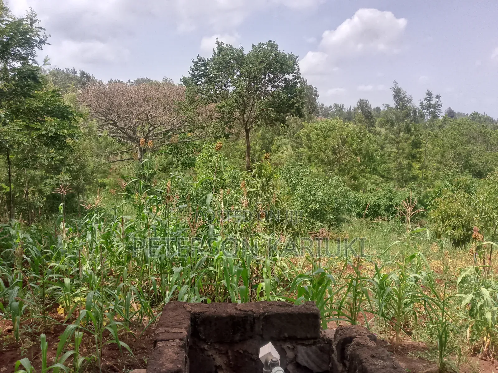 Land on Sale;Kimorori- Kenol