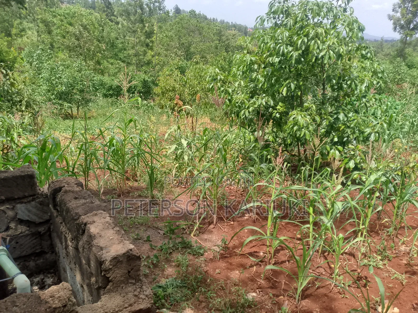 Land on Sale;Kimorori- Kenol