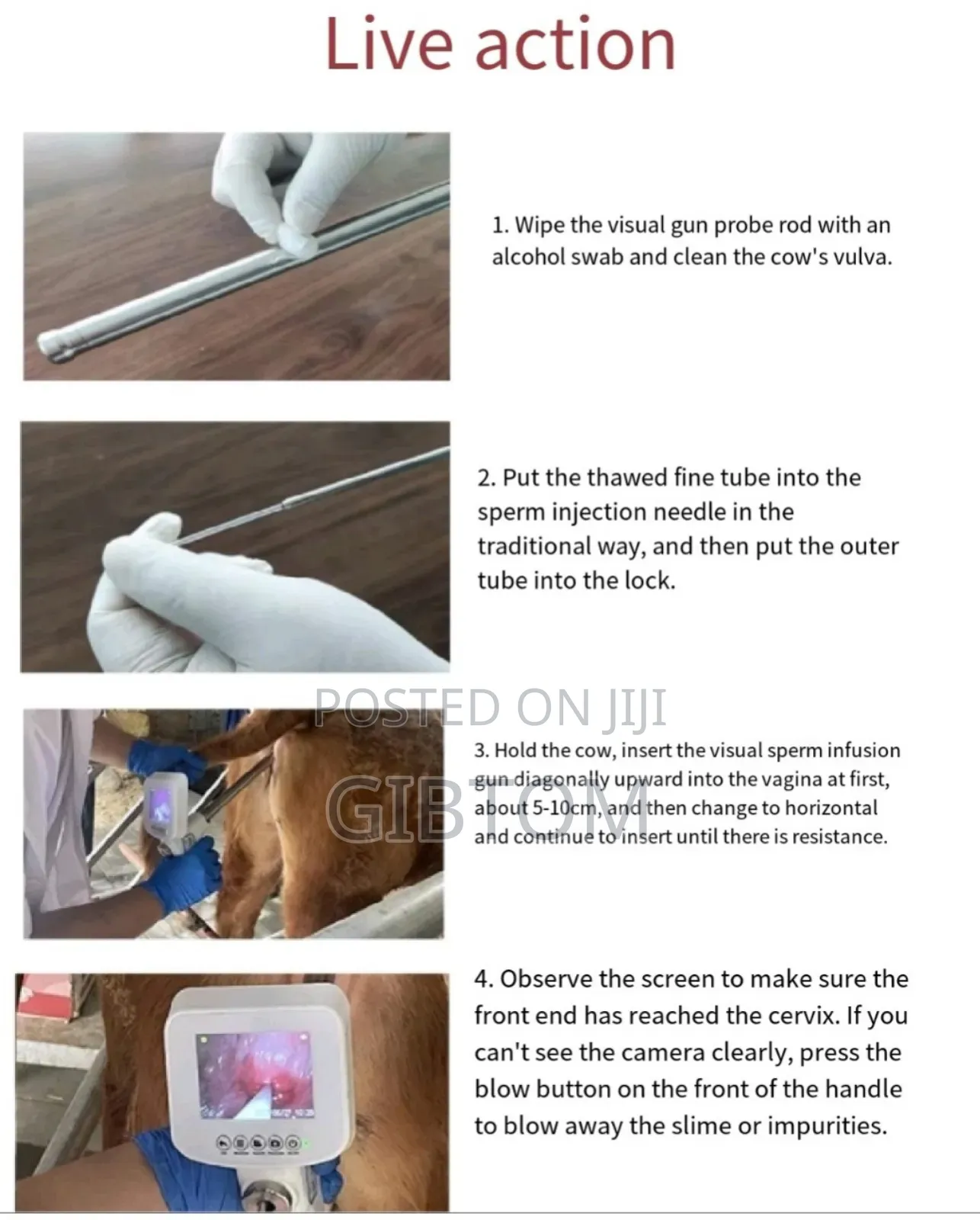 Portable Visual Artificial Insemination (Ai) Gun