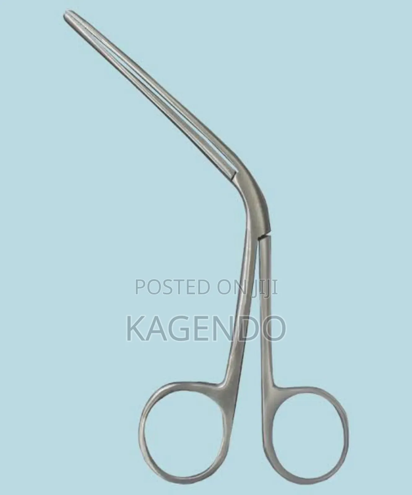 Tilley’S Forceps – Adult
