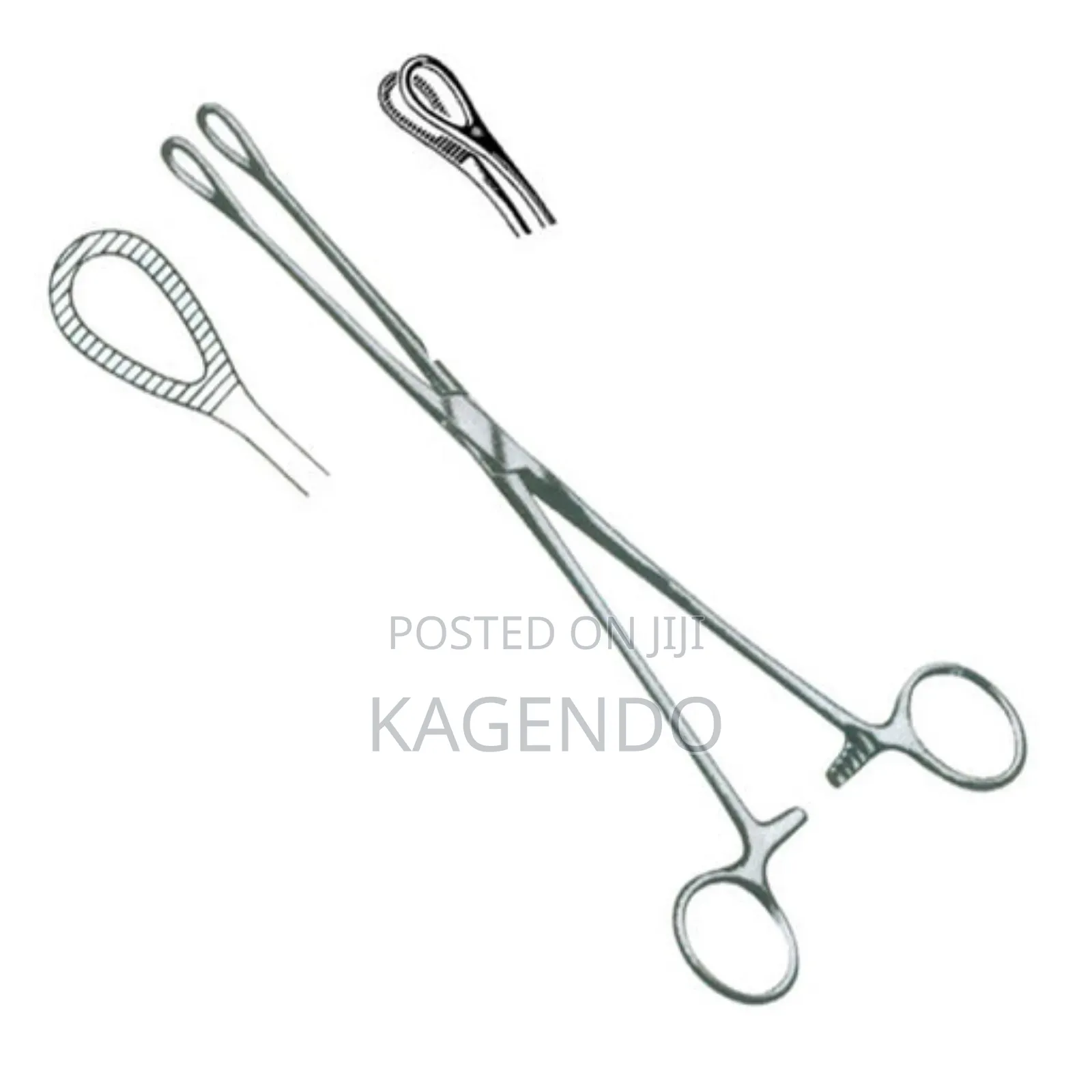 Cord Forceps