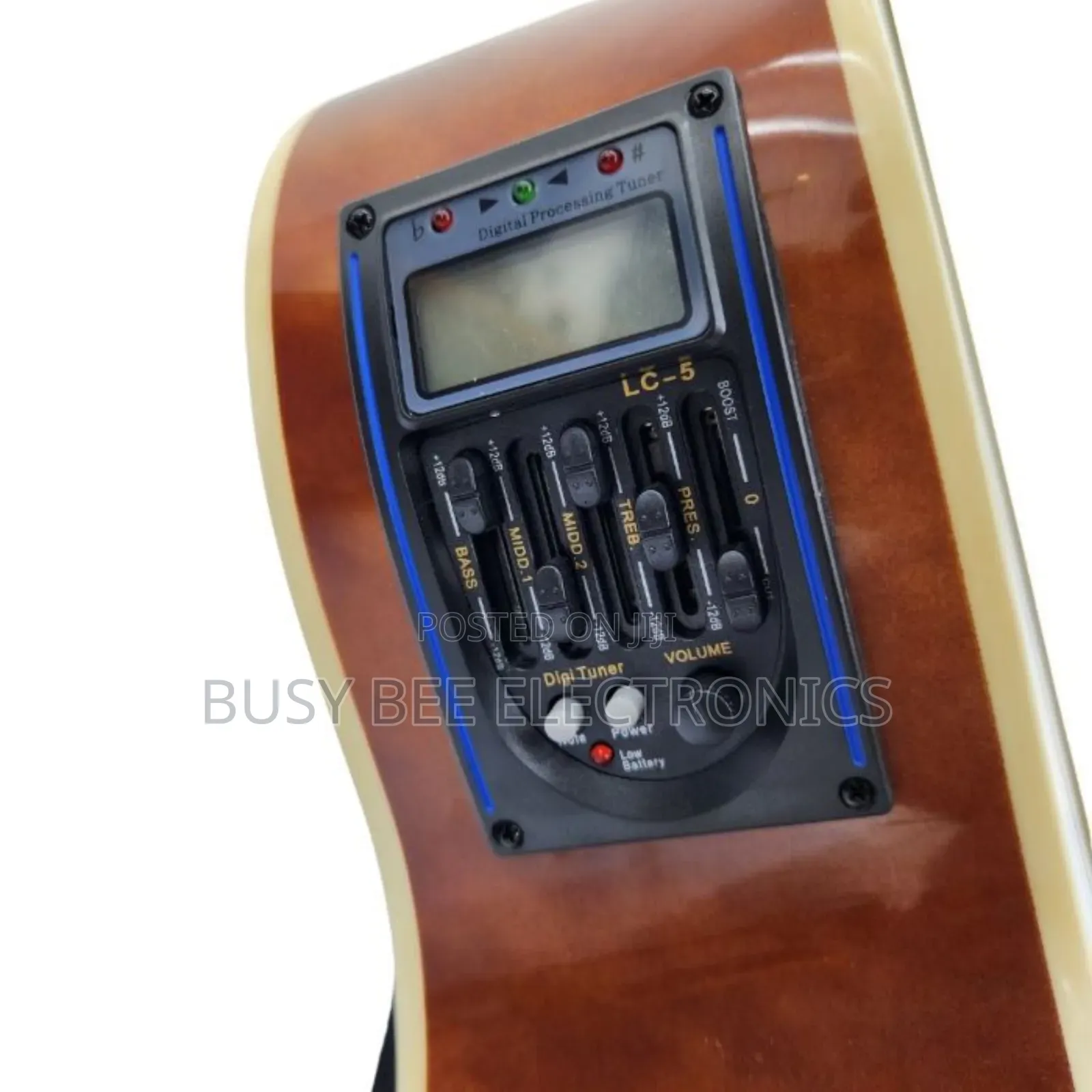 Ibanez Semi Acoustic Guitar