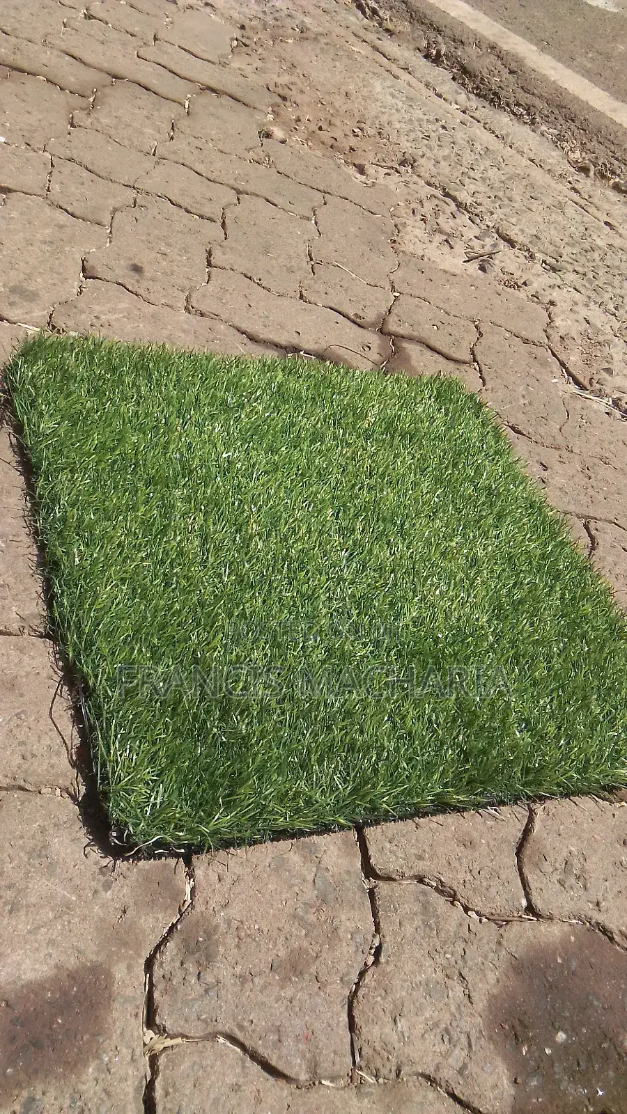 Barcon Grass Capet