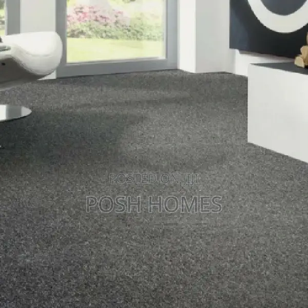 Plush Floor Wall to Wall Carpets