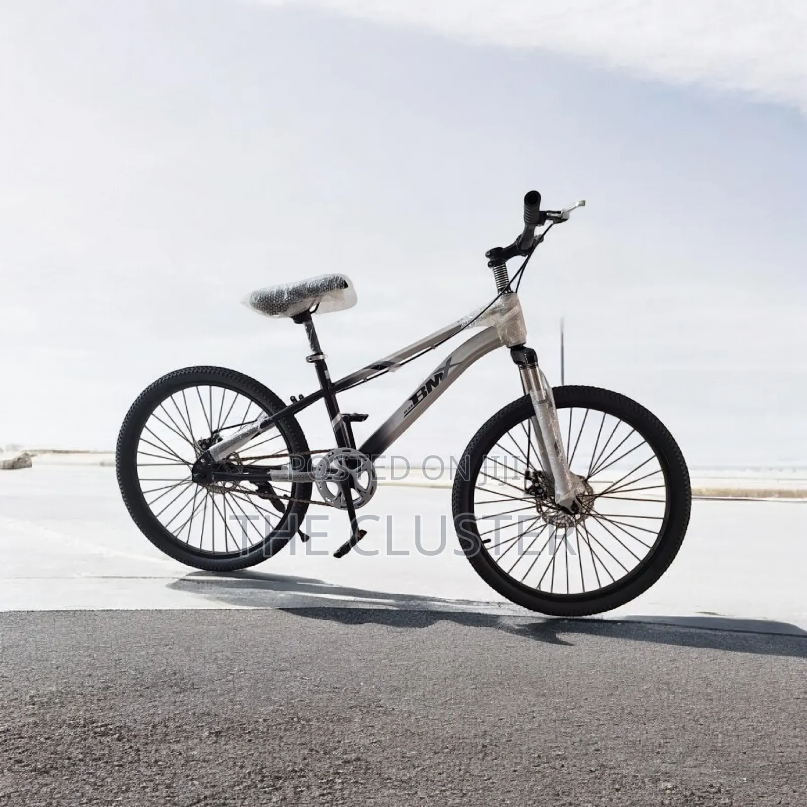 BMX Size 20 Bicycle