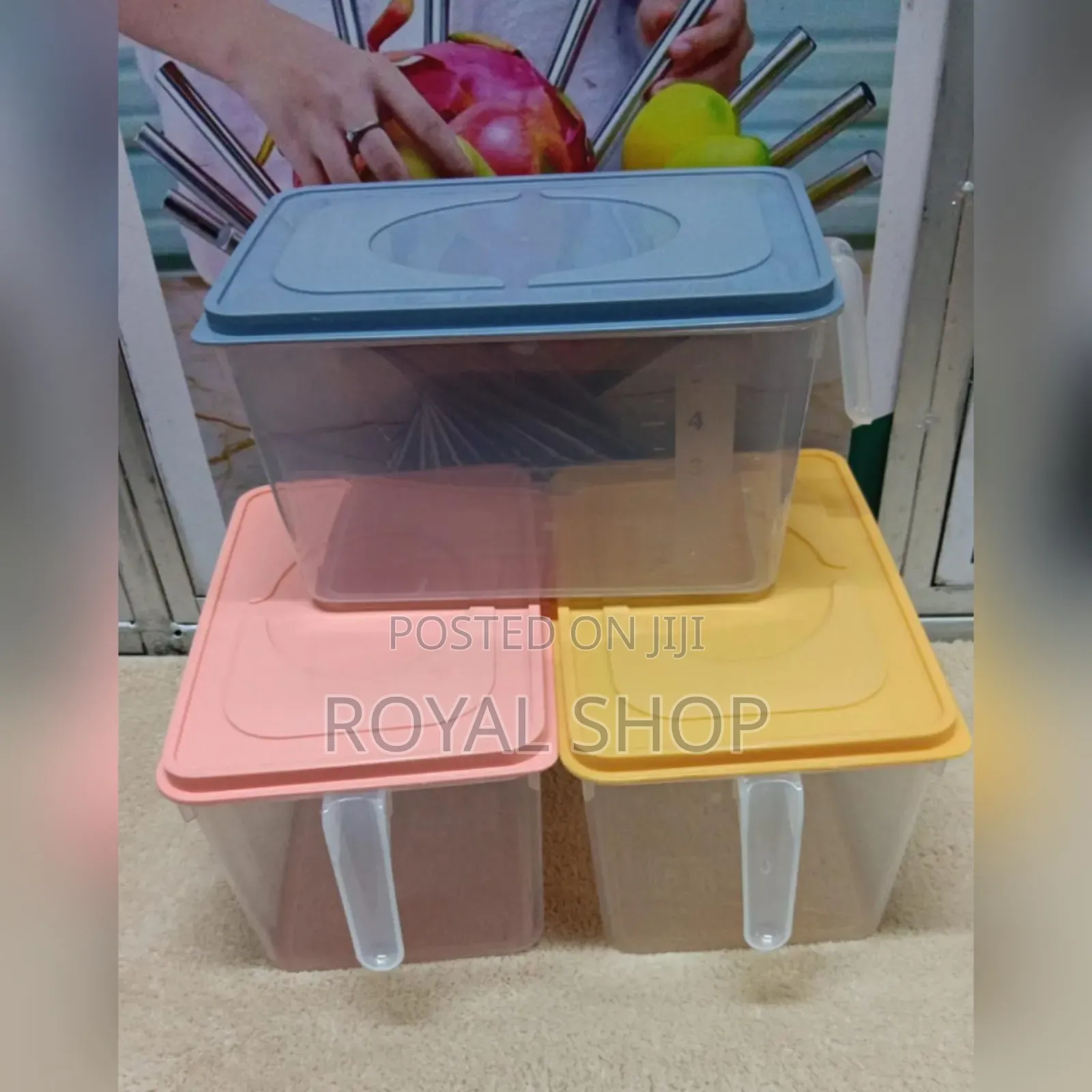 Fridge Container