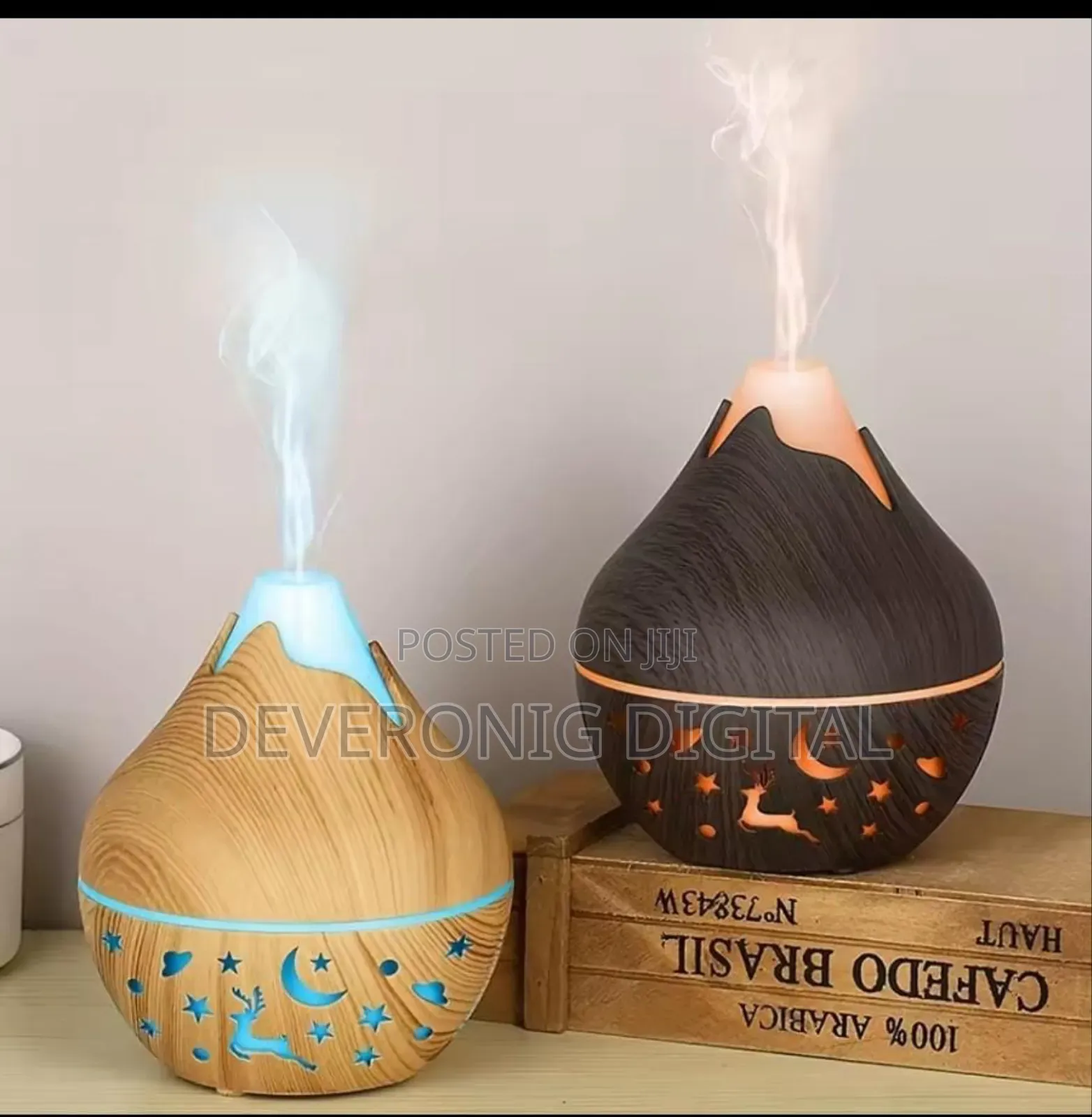 200ml Snow Mountain Humidifier