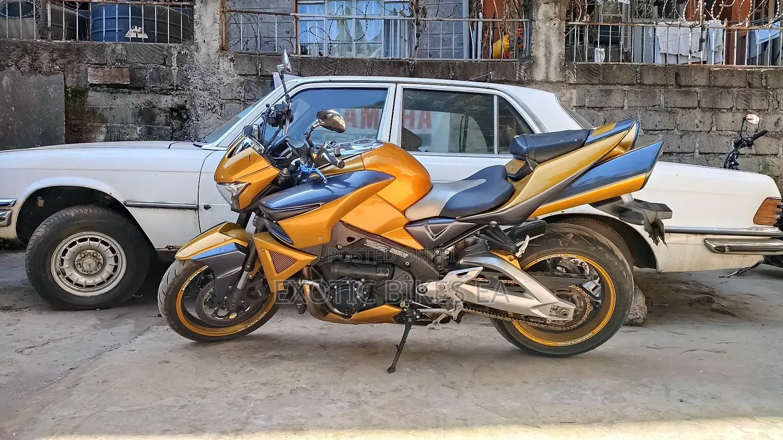 Suzuki 2008 Gold