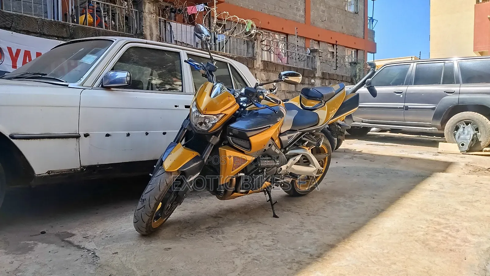 Suzuki 2008 Gold