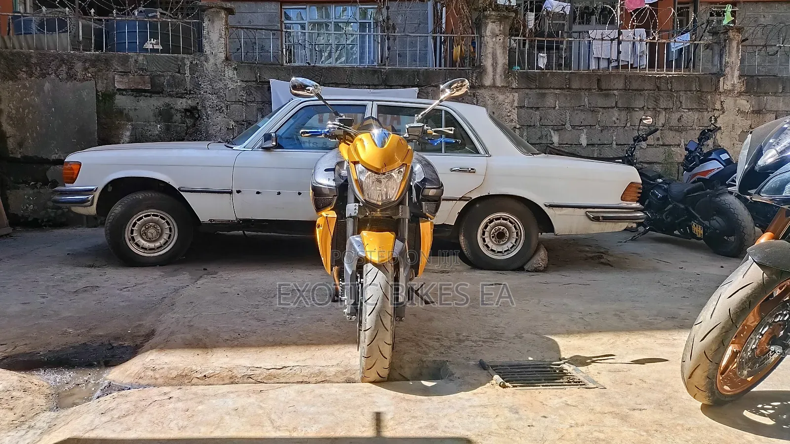 Suzuki 2008 Gold