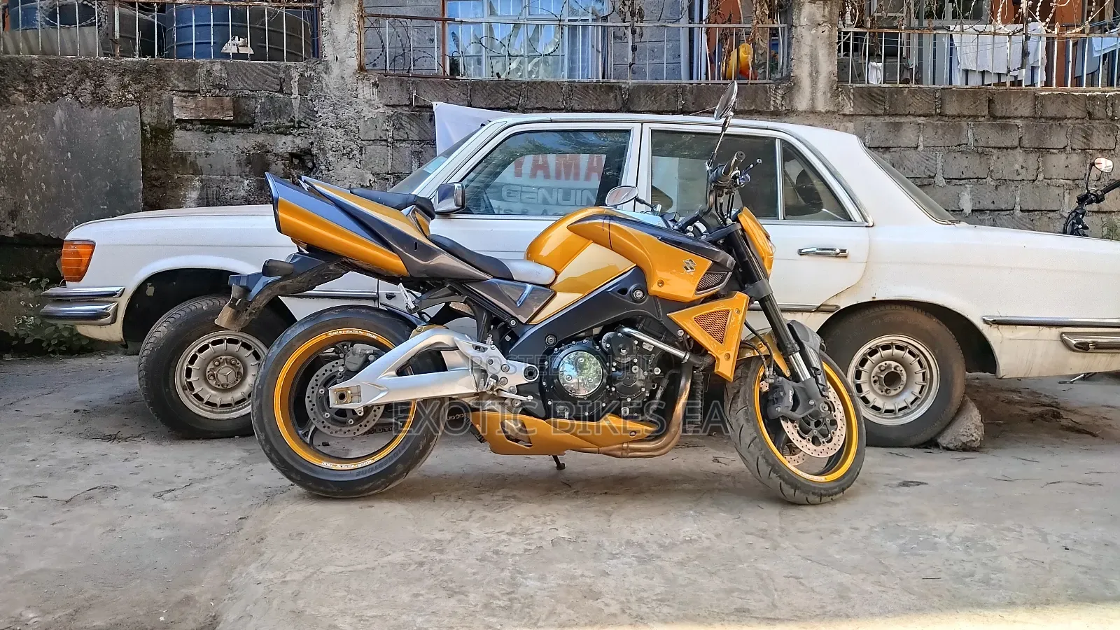 Suzuki 2008 Gold