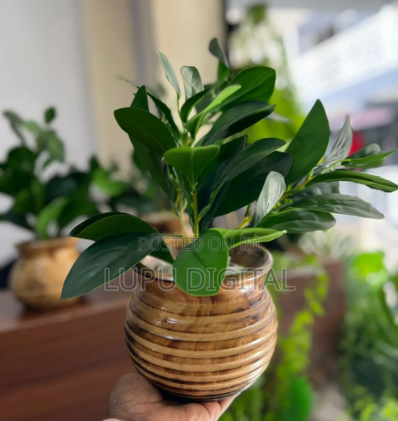 Potted Evergreen Articial Plant