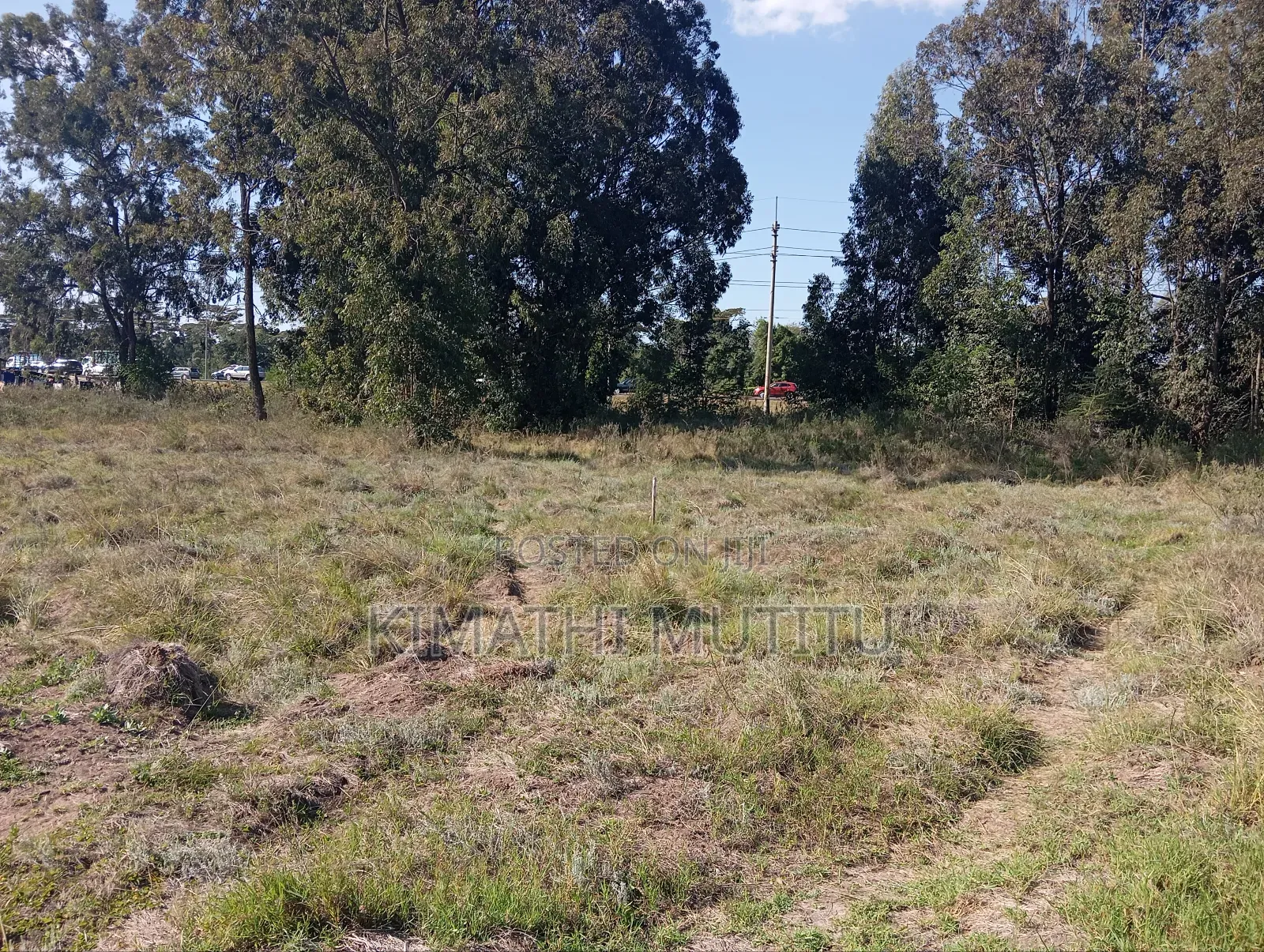 These Are Prime Residential 1/2 Acre Parcels in Karen Fairacres.