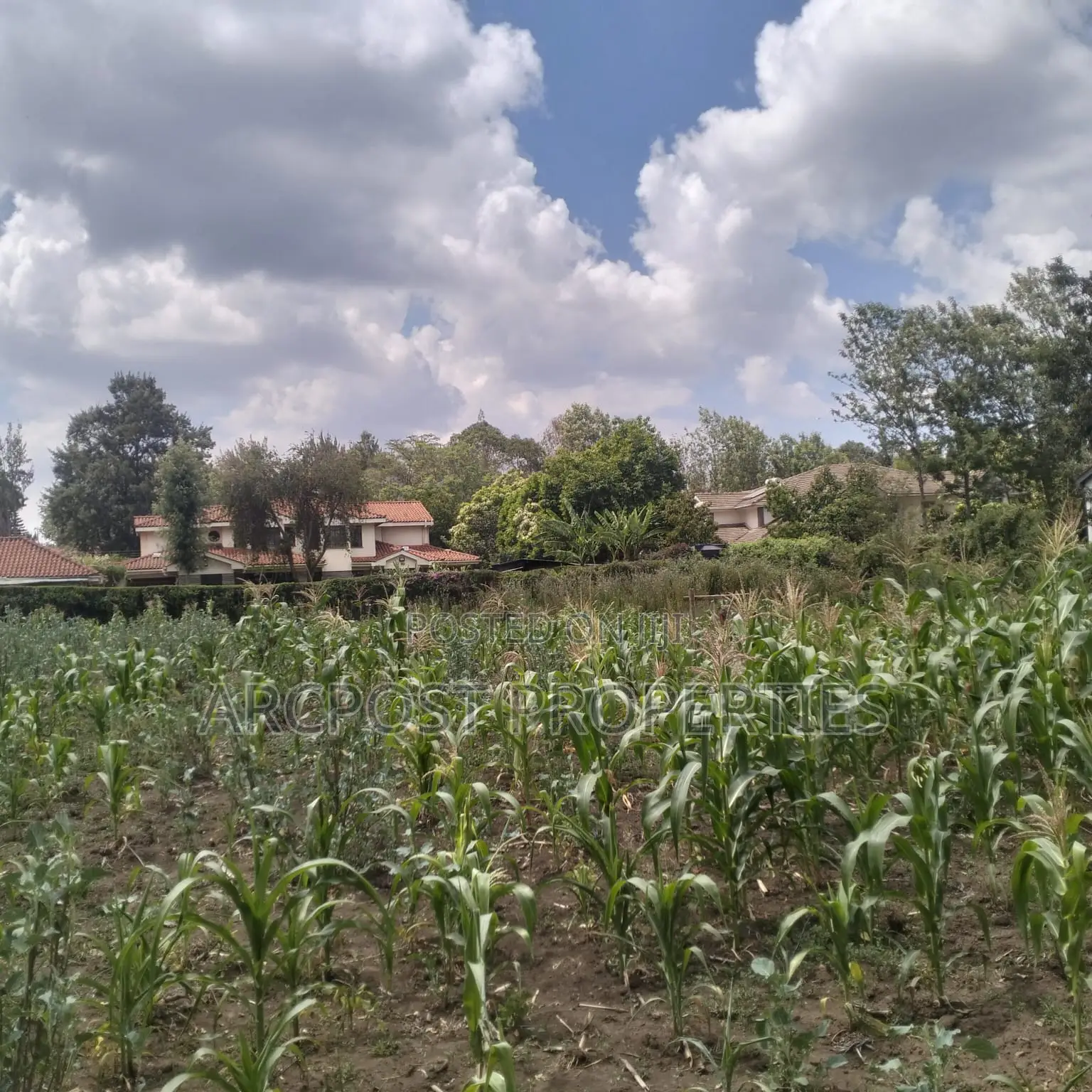 Prime 11⁄4-Acre Plot Along Marist Lane