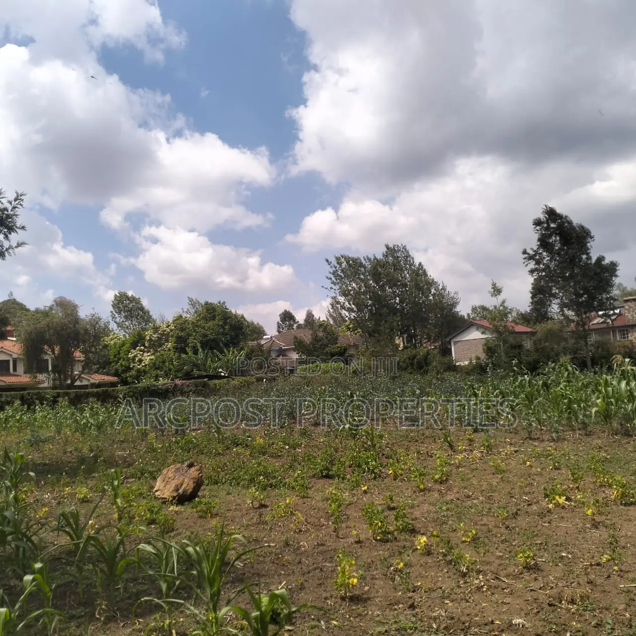 Prime 11⁄4-Acre Plot Along Marist Lane