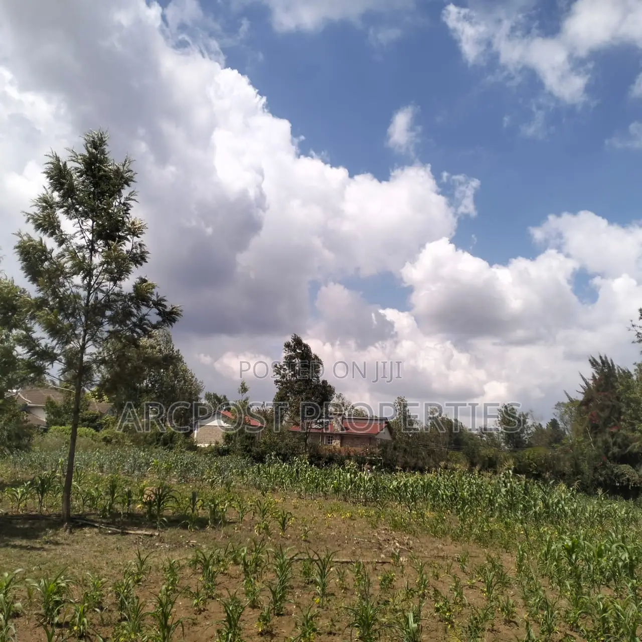Prime 11⁄4-Acre Plot Along Marist Lane