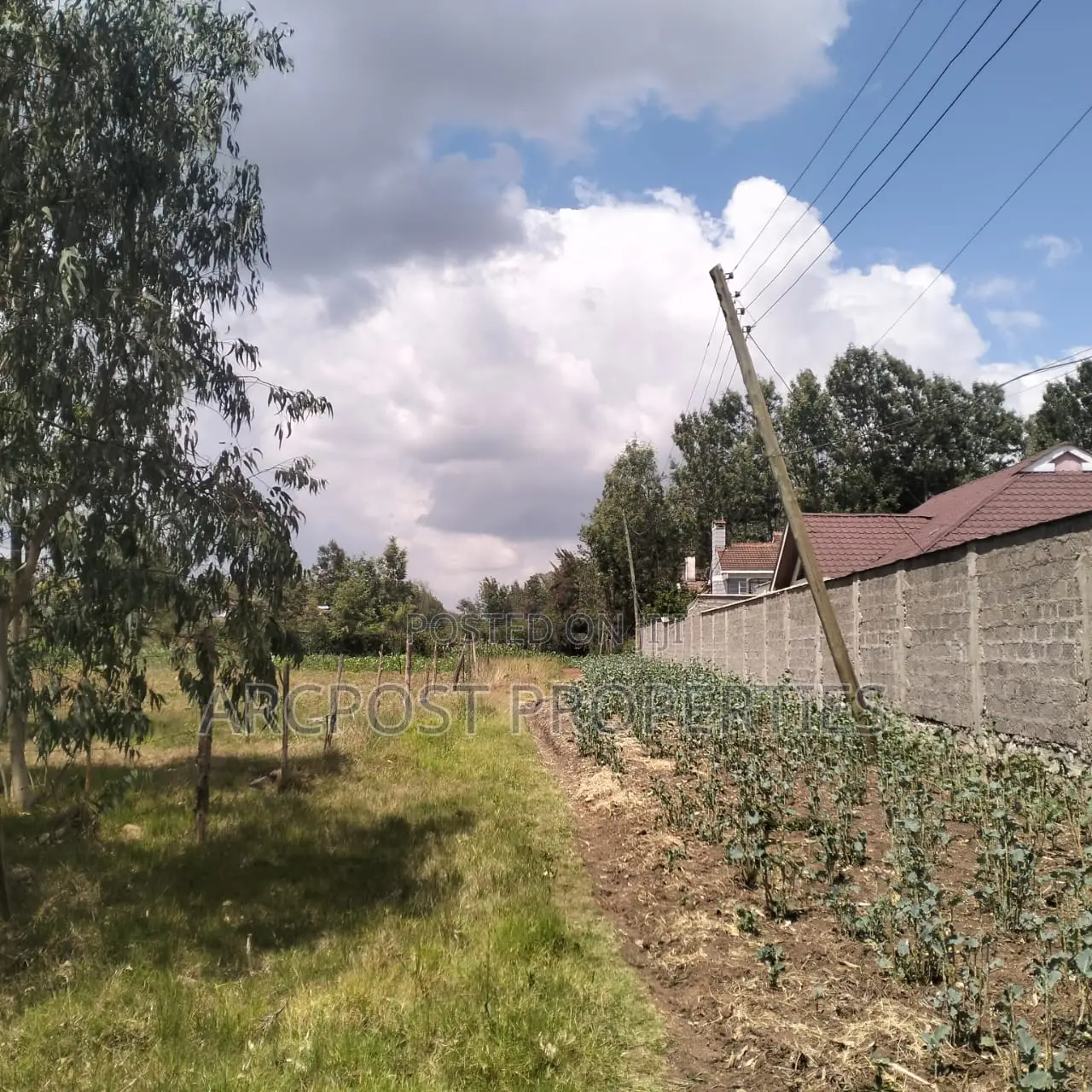 Prime 11⁄4-Acre Plot Along Marist Lane