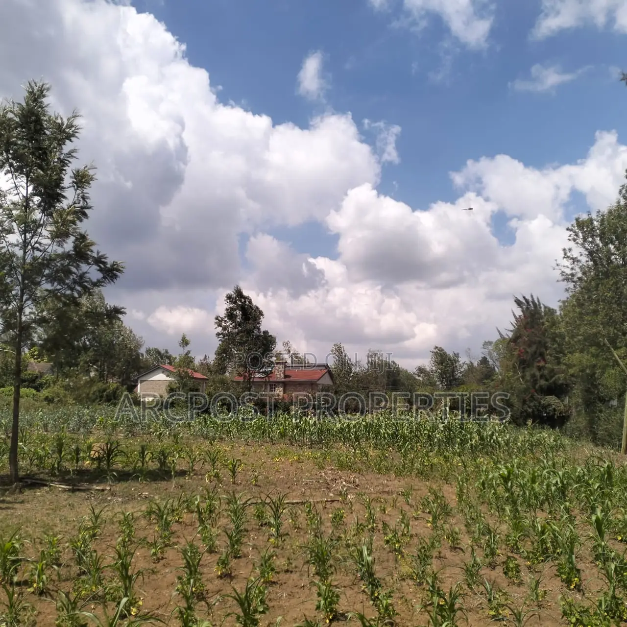 Prime 11⁄4-Acre Plot Along Marist Lane