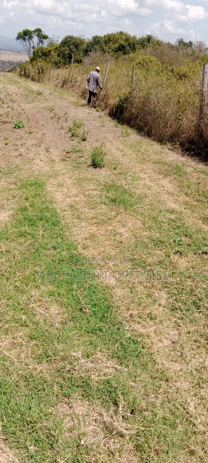 10 Acres for Sale in Mwiga – Bordering Aberdare National Park